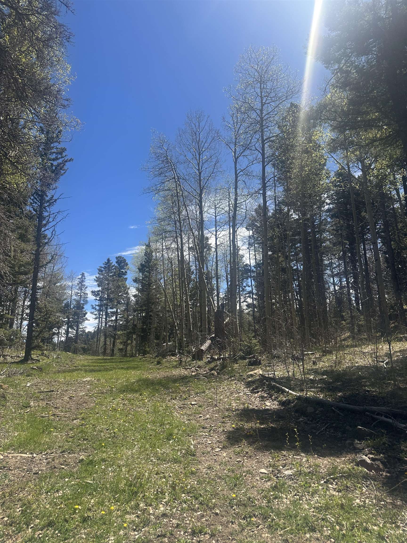 Lot 86 Elk Horn Drive, Angel Fire, New Mexico image 3