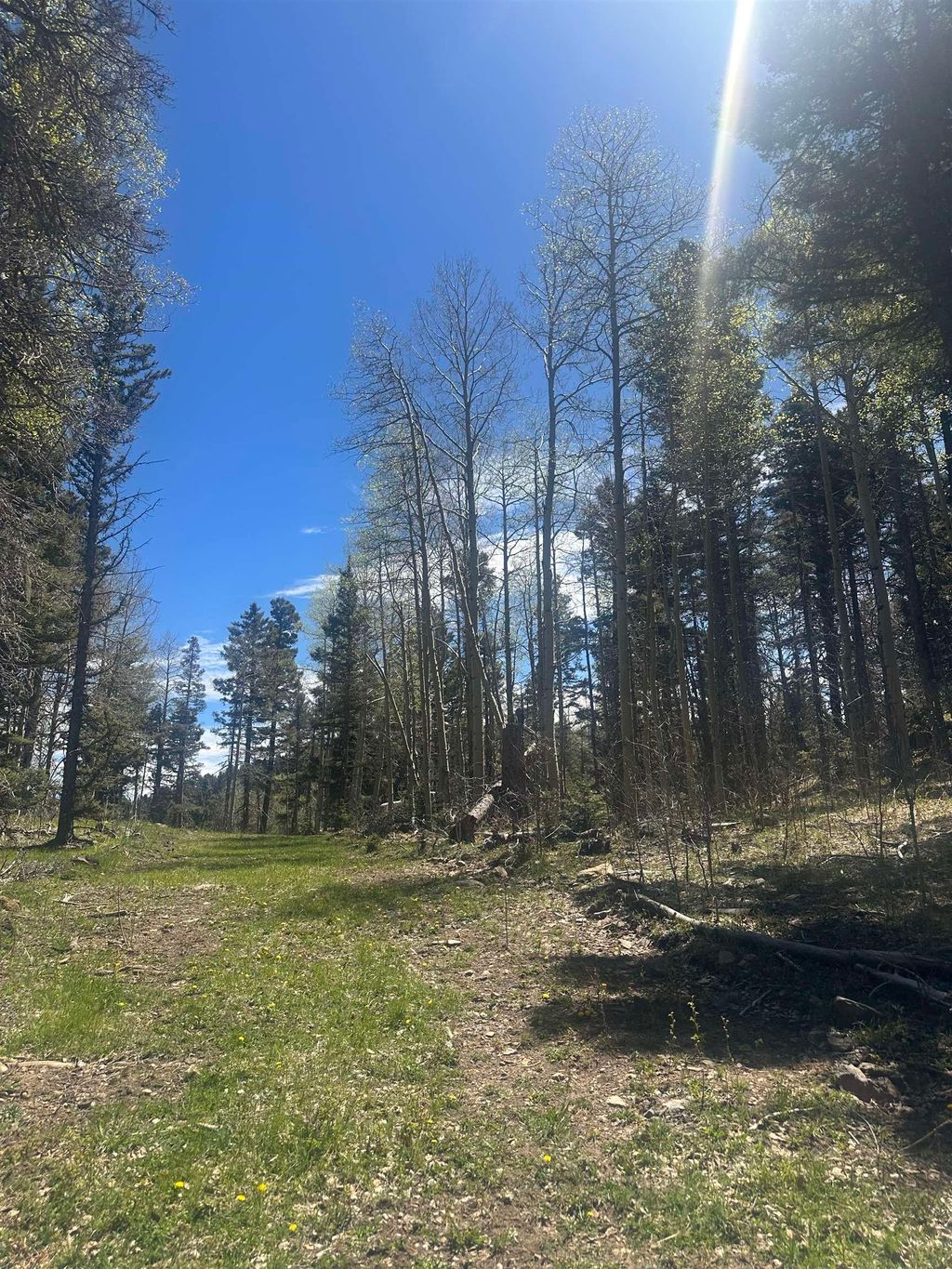 Photo of Lot 86 Elk Horn Drive, Angel Fire, NM 87710 (MLS # 113337)