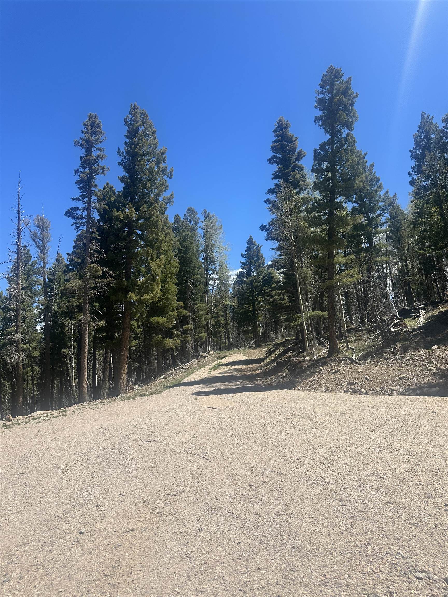 Lot 86 Elk Horn Drive, Angel Fire, New Mexico image 8