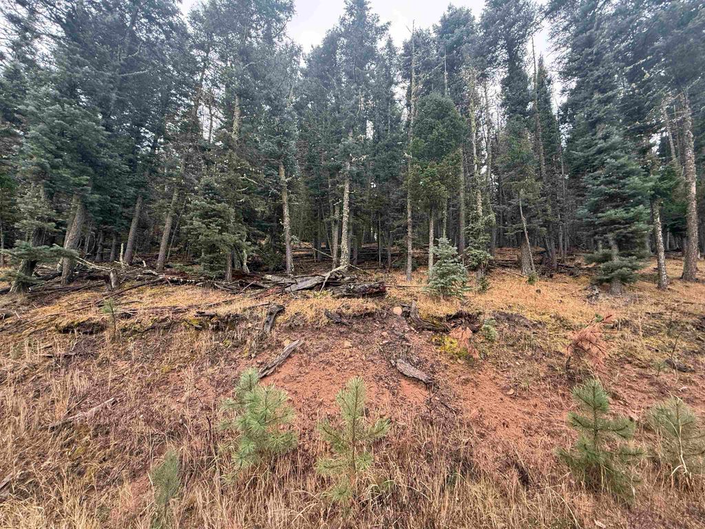 Photo of Lot 29 San Andres Terrace, Angel Fire, NM 87710 (MLS # 114308)