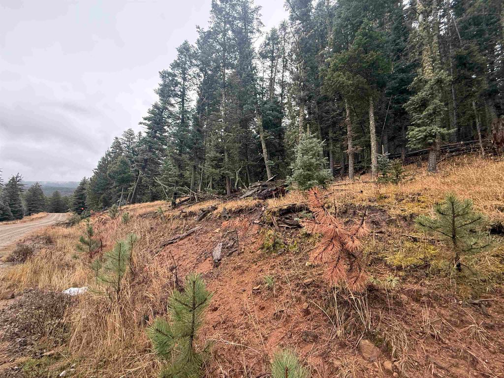 Photo of Lot 29 San Andres Terrace, Angel Fire, NM 87710 (MLS # 114308)