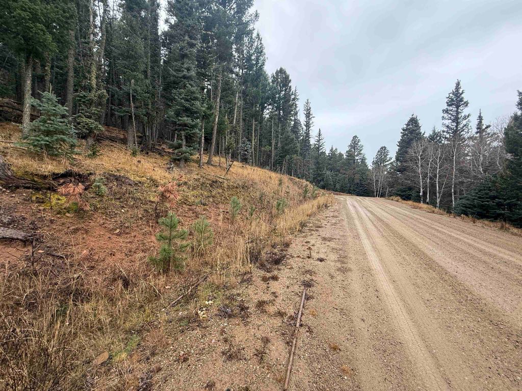 Photo of Lot 29 San Andres Terrace, Angel Fire, NM 87710 (MLS # 114308)