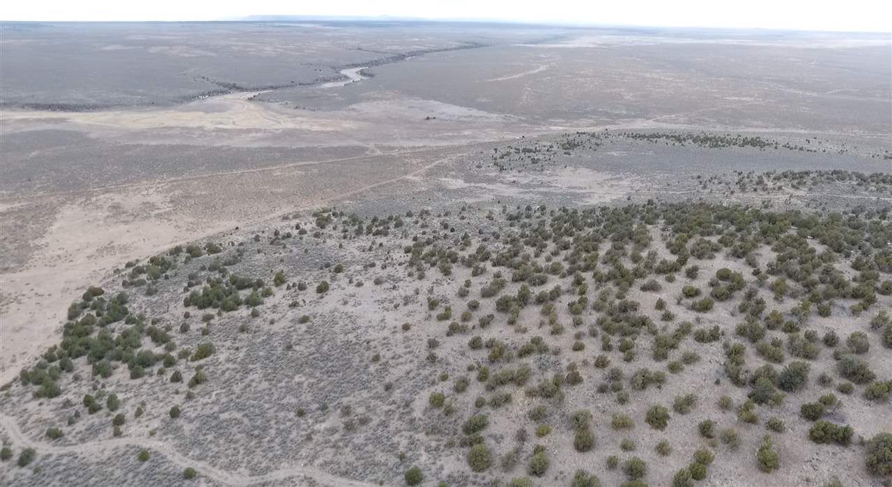 Star Road, Carson, New Mexico image 8