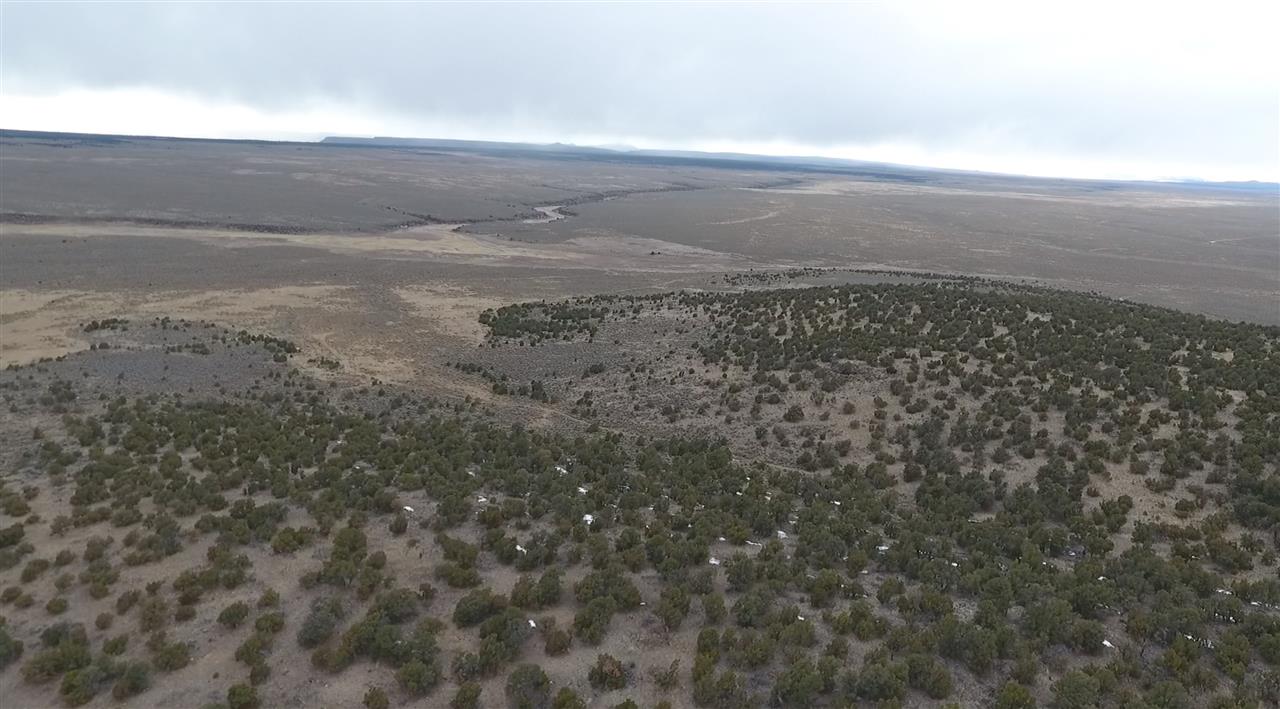 Star Road, Carson, New Mexico image 7