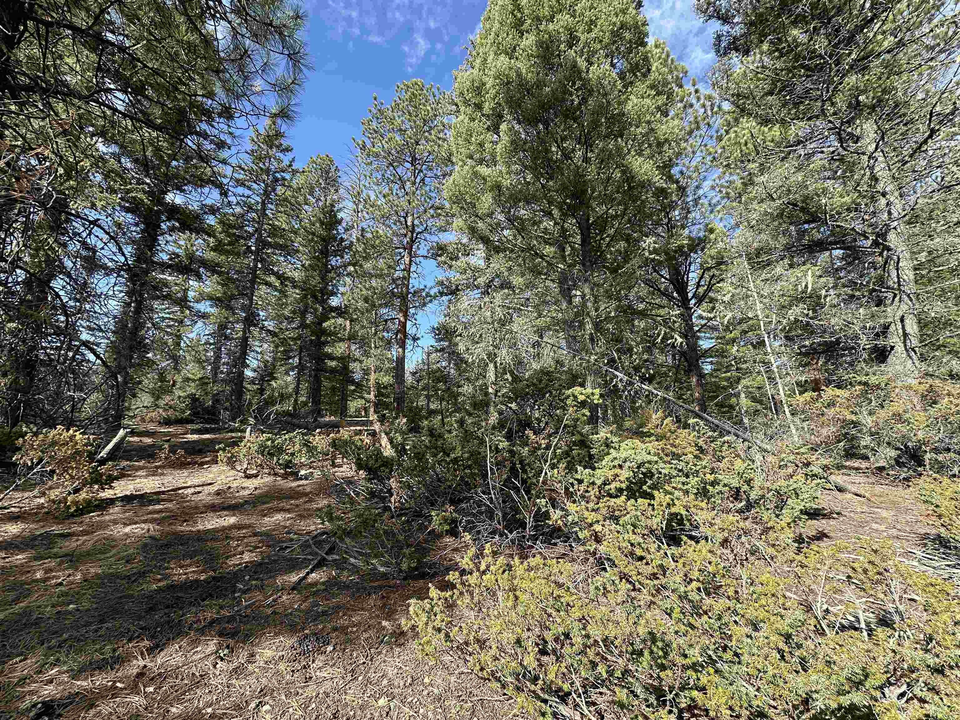 TBD Rova Dr, Taos, New Mexico image 10