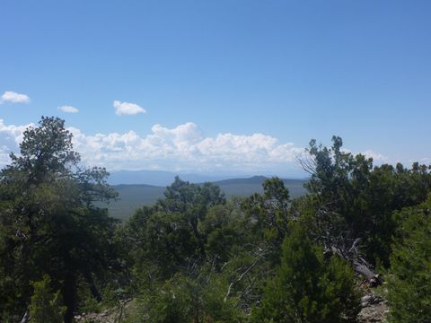 Vacant Land For Sale - 23205 Us 64<br/> Taos, NM 87577