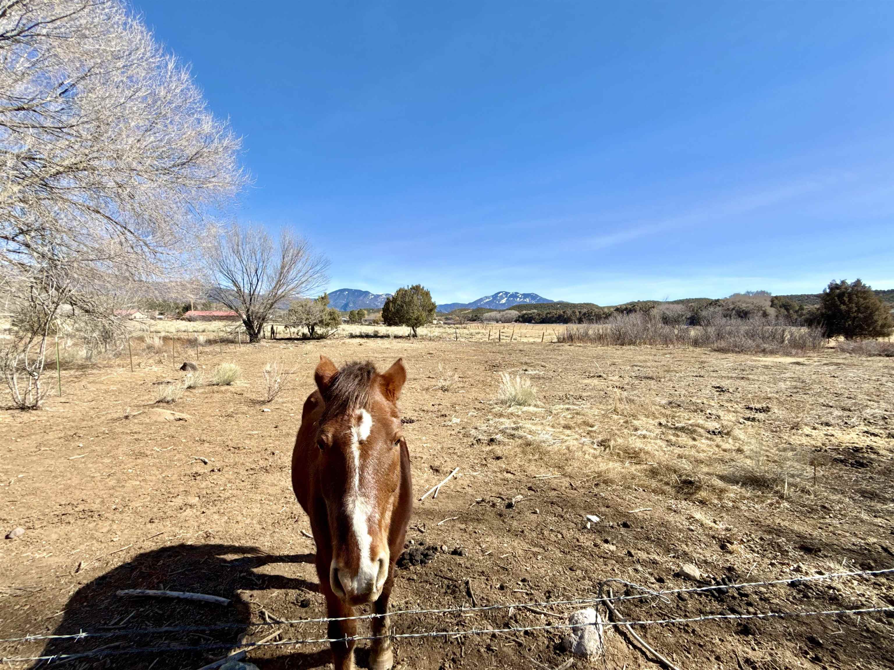 1 Plus Acres Off Highway 522, Arroyo Hondo, New Mexico image 25