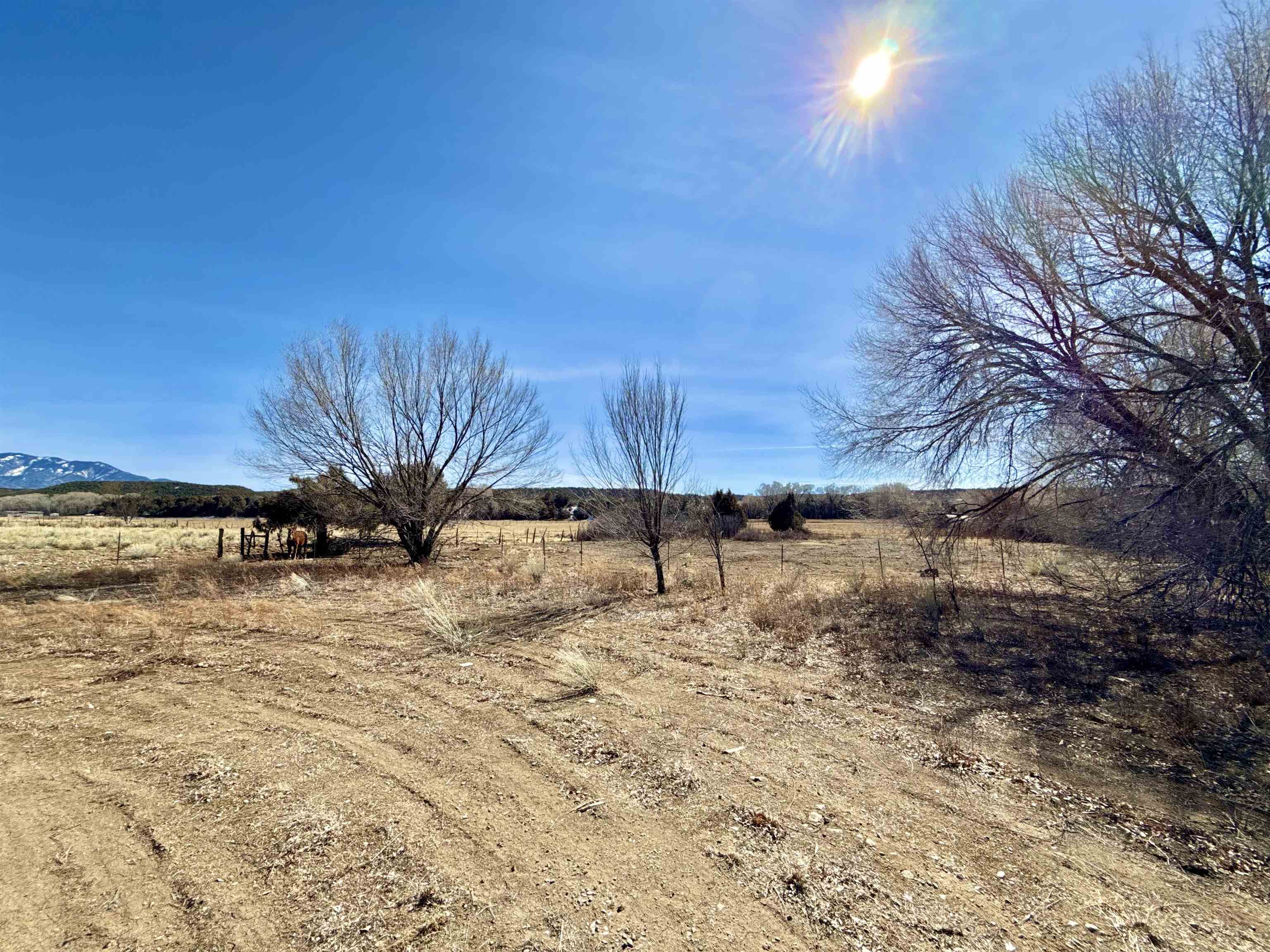 1 Plus Acres Off Highway 522, Arroyo Hondo, New Mexico image 22