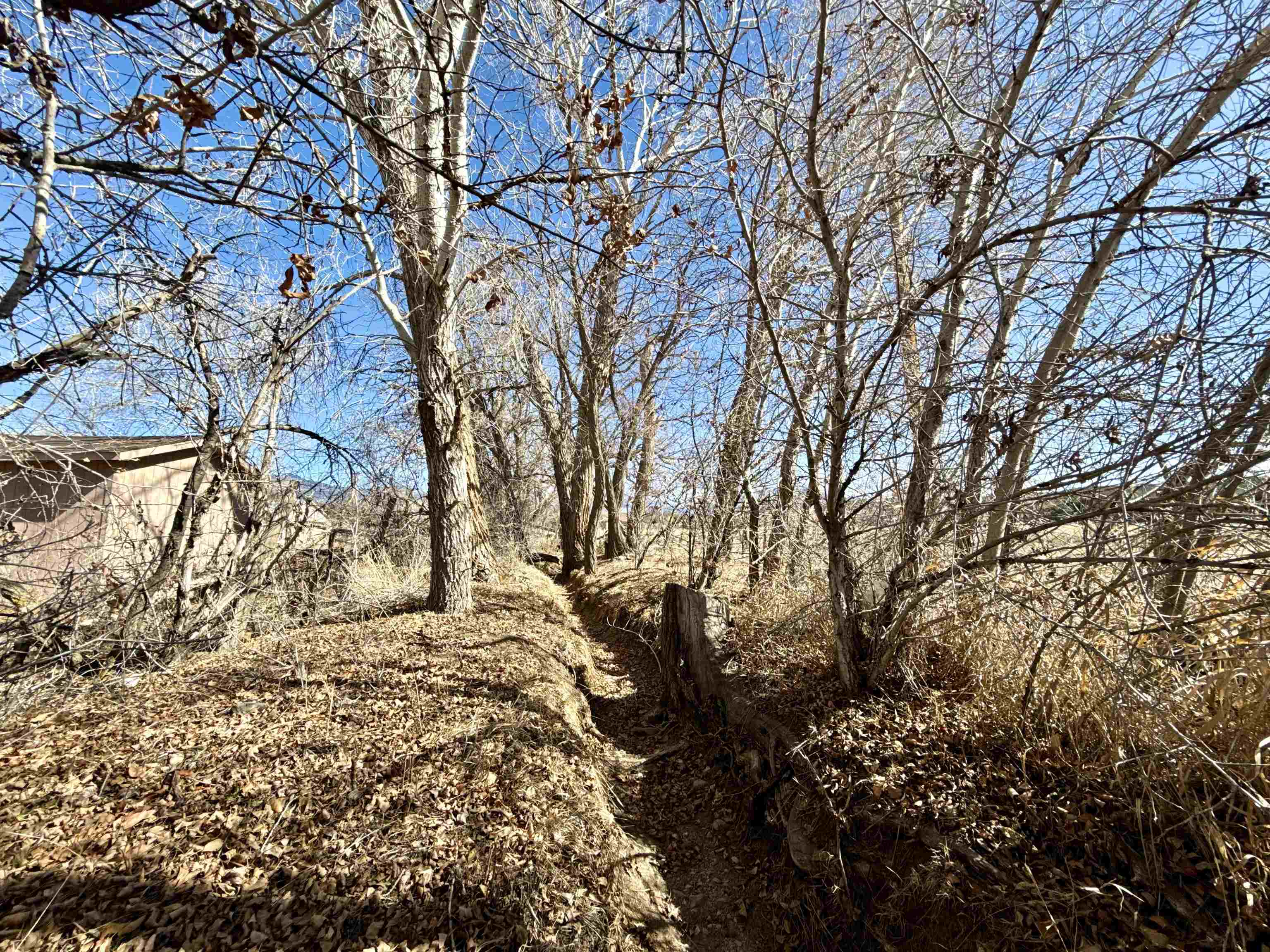 1 Plus Acres Off Highway 522, Arroyo Hondo, New Mexico image 17