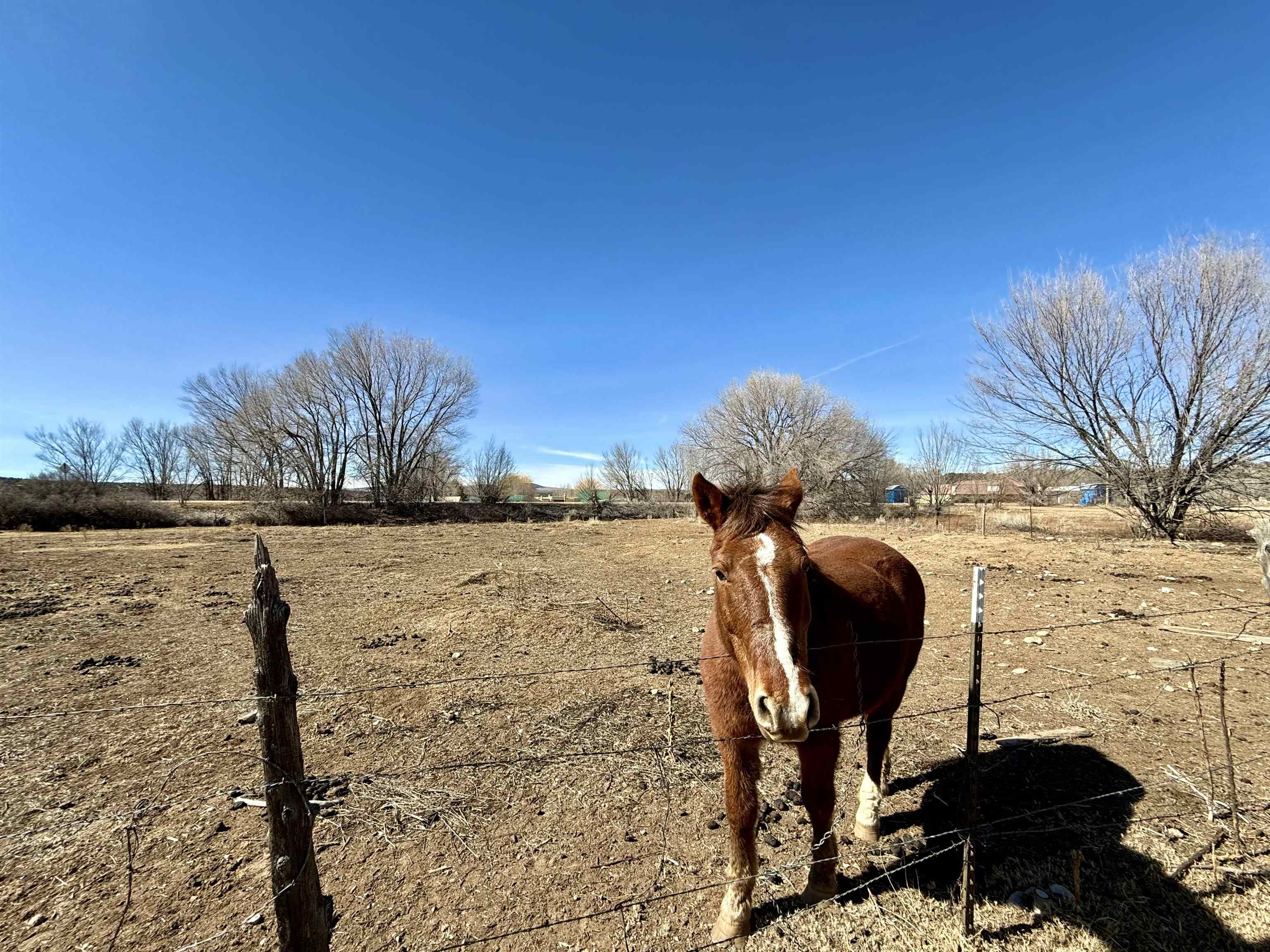 1 Plus Acres Off Highway 522, Arroyo Hondo, New Mexico image 26