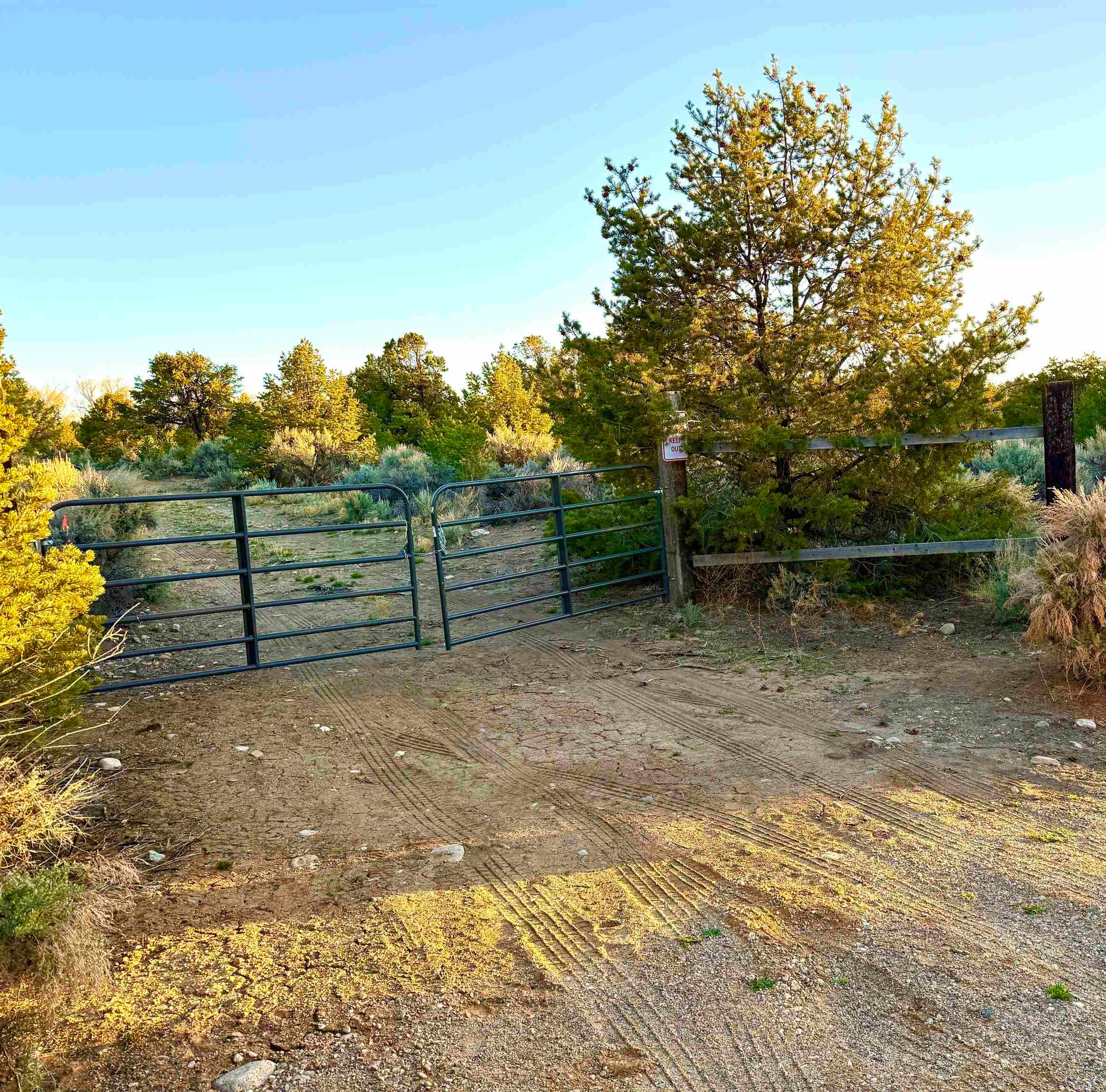 TBD Jedidiah Rd, Questa, New Mexico image 13