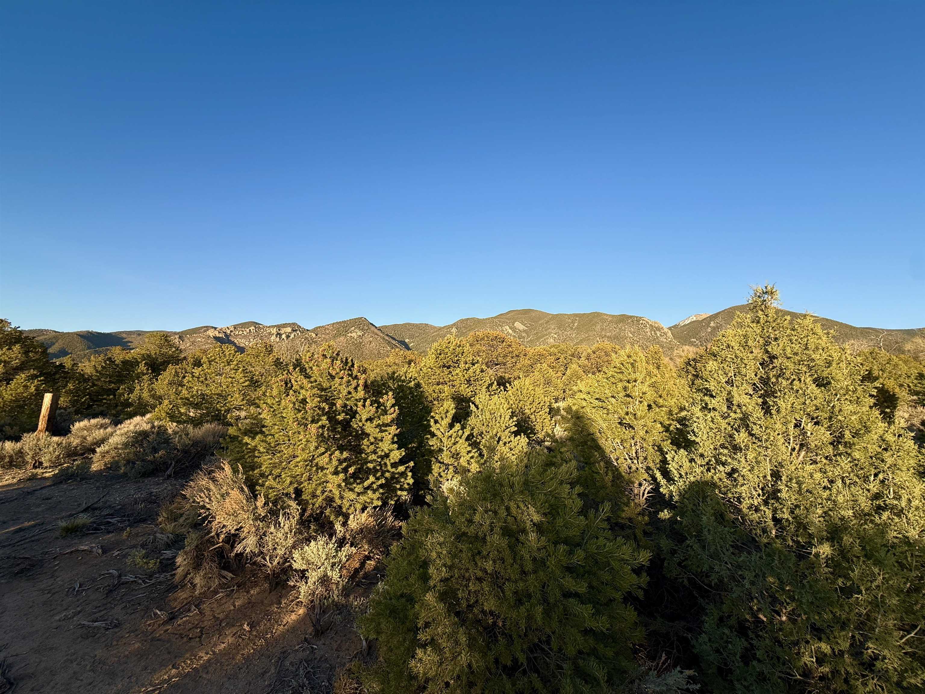 TBD Jedidiah Rd, Questa, New Mexico image 2