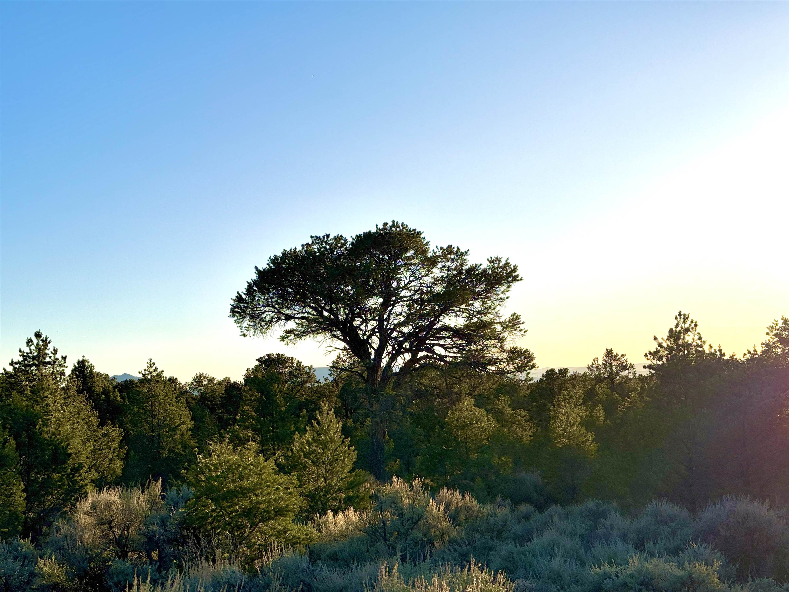 TBD Jedidiah Rd, Questa, New Mexico image 4