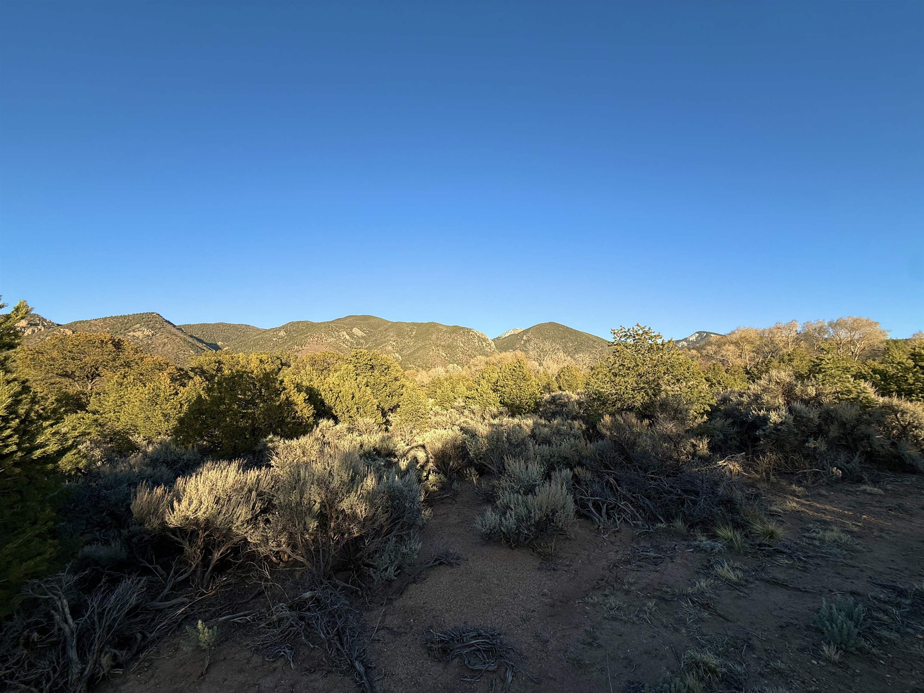 TBD Jedidiah Rd, Questa, New Mexico image 3