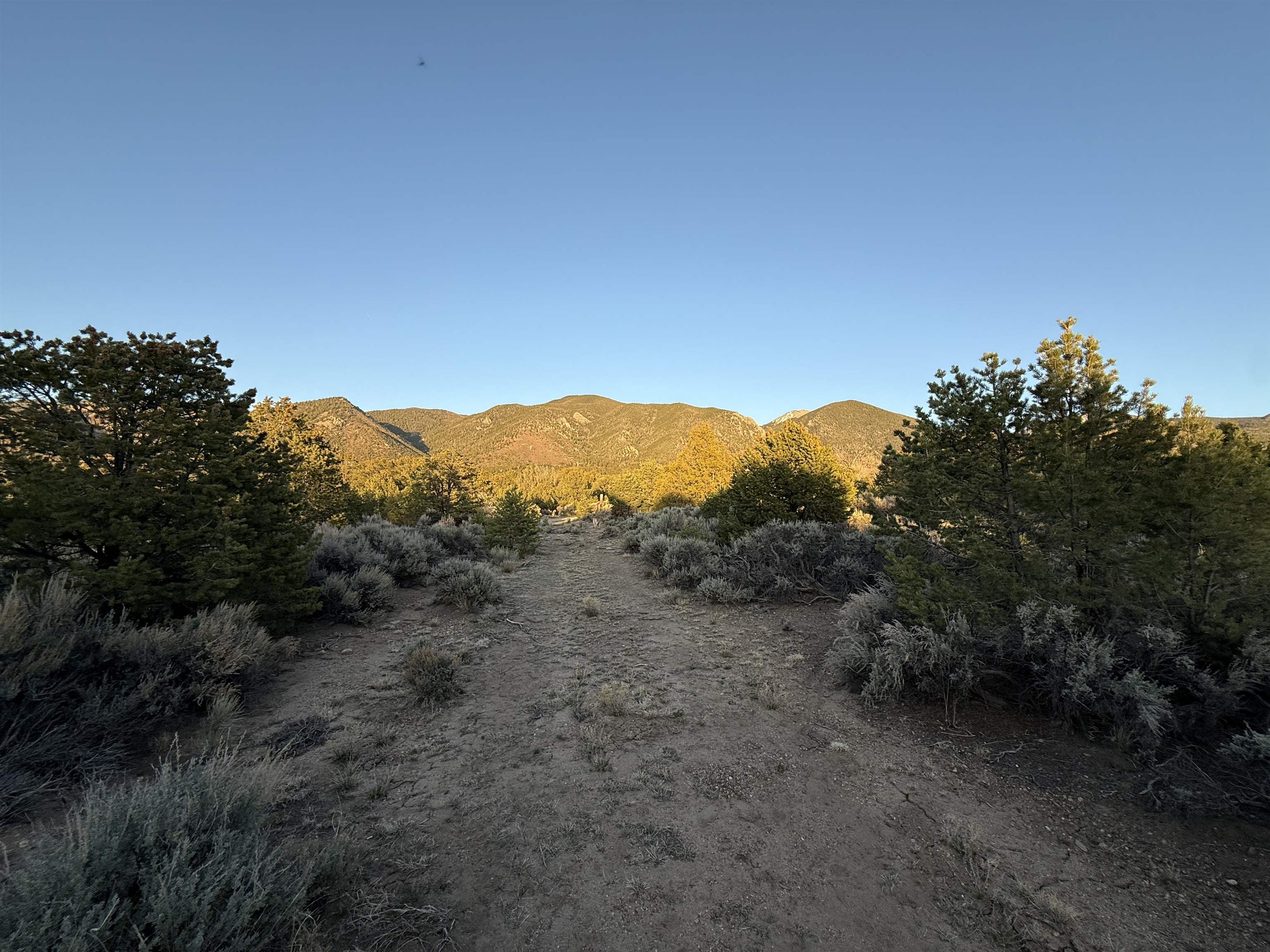 TBD Jedidiah Rd, Questa, New Mexico image 12