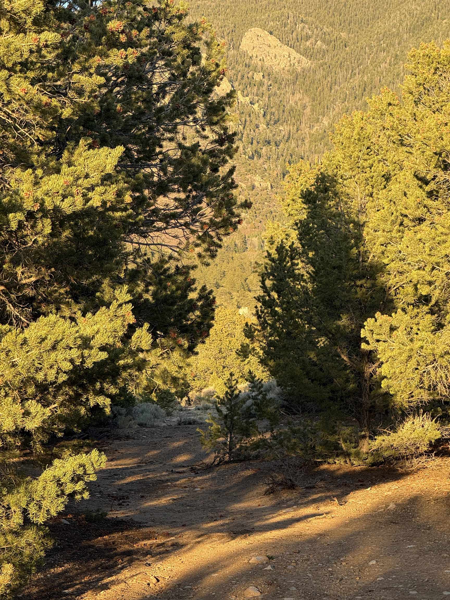 TBD Jedidiah Rd, Questa, New Mexico image 10
