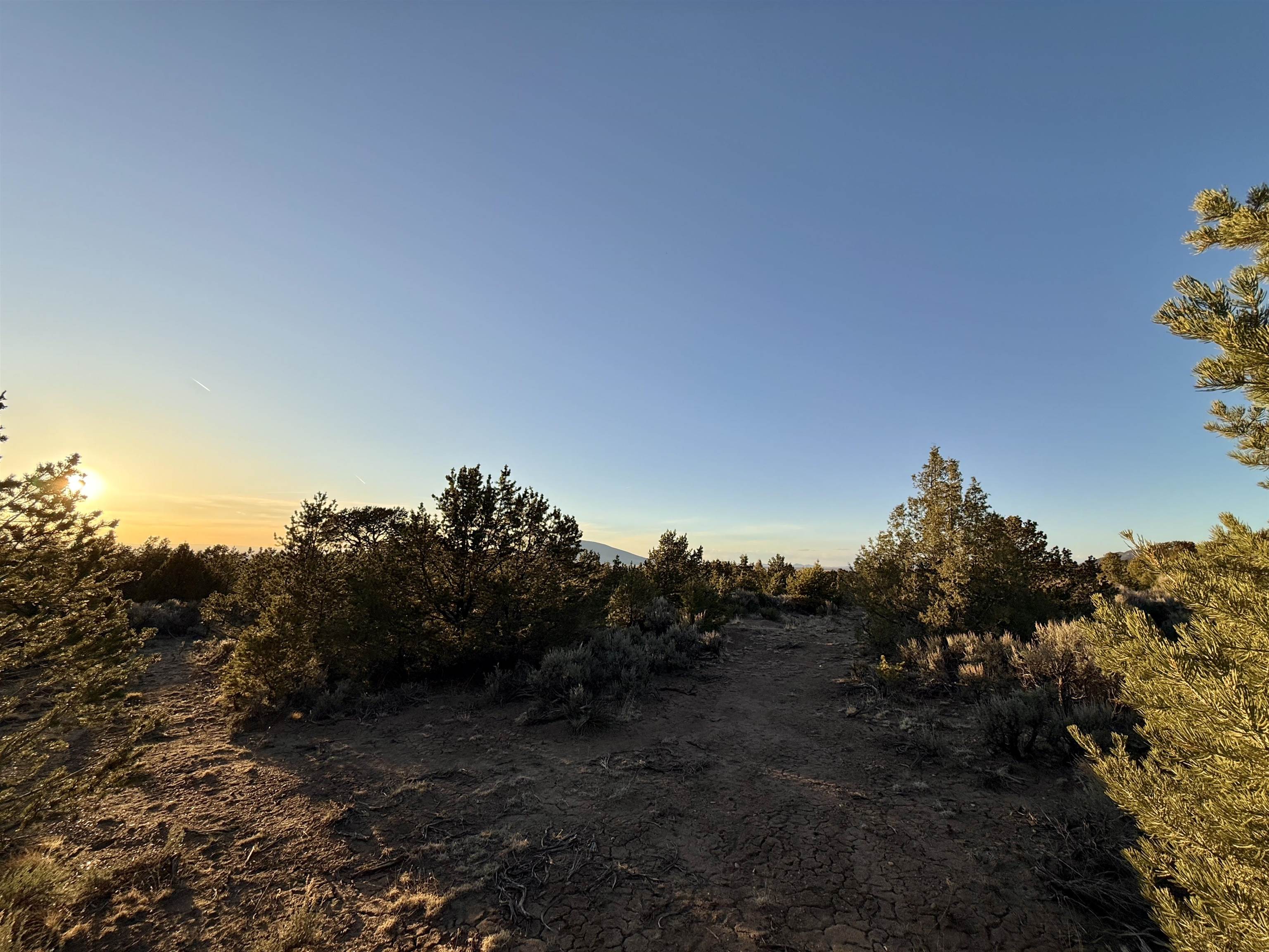 TBD Jedidiah Rd, Questa, New Mexico image 6