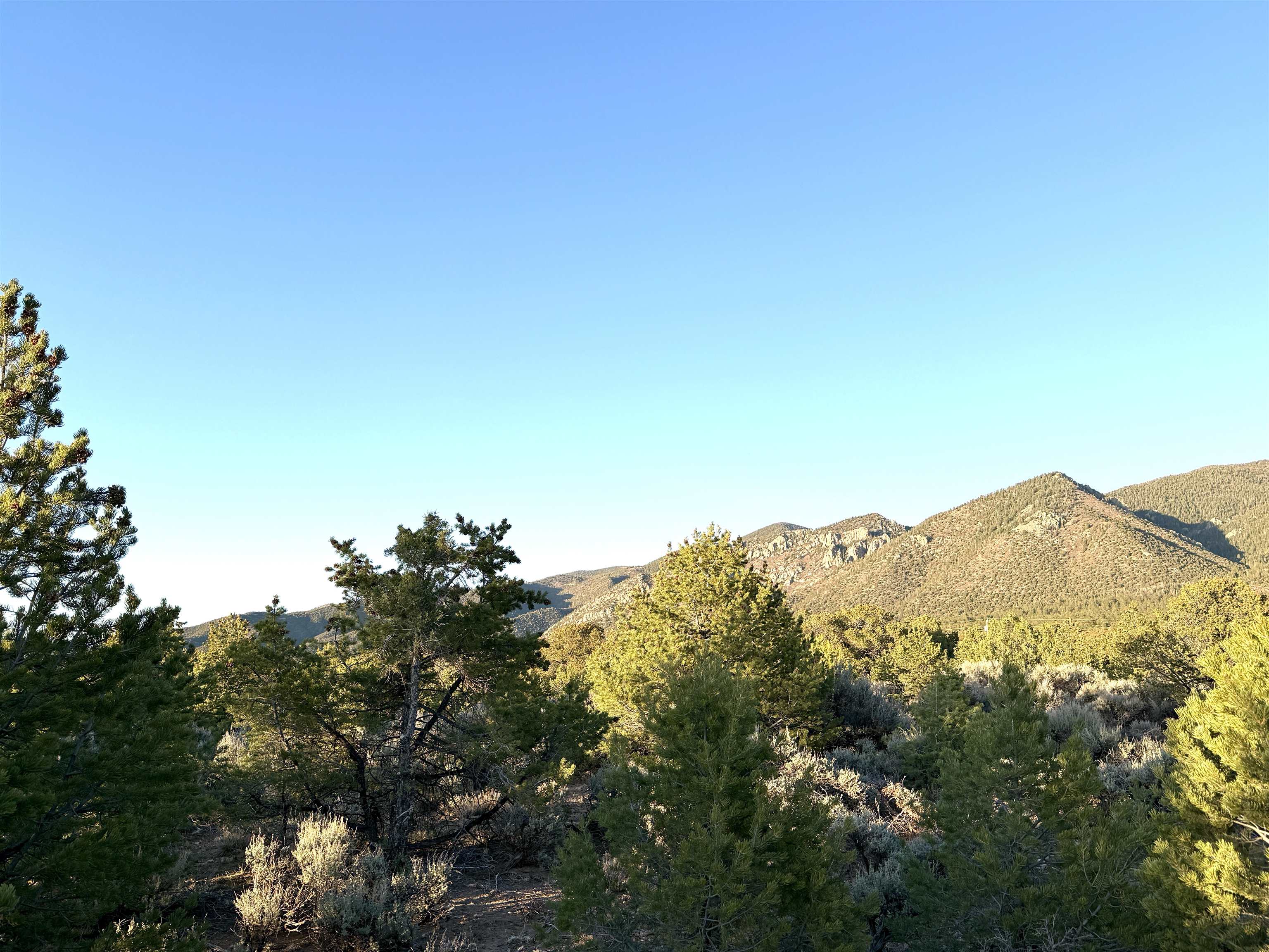 TBD Jedidiah Rd, Questa, New Mexico image 7