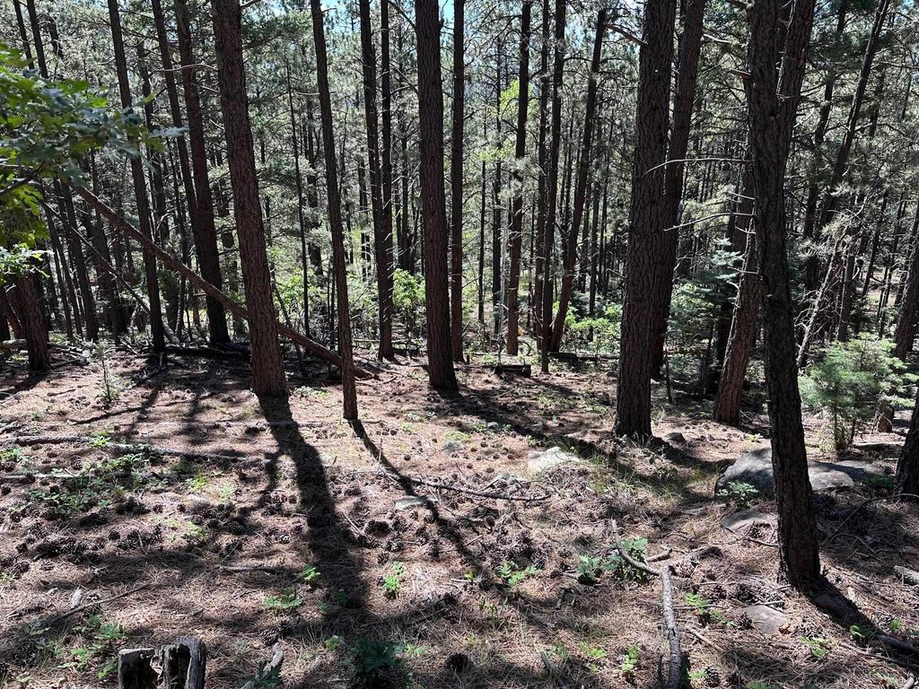 Photo of Lot 1195 Chino Terrace, Angel Fire, NM 87710 (MLS # 110026)