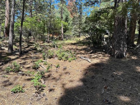 Photo of Lot 1195 Chino Terrace, Angel Fire, NM 87710 (MLS # 110026)