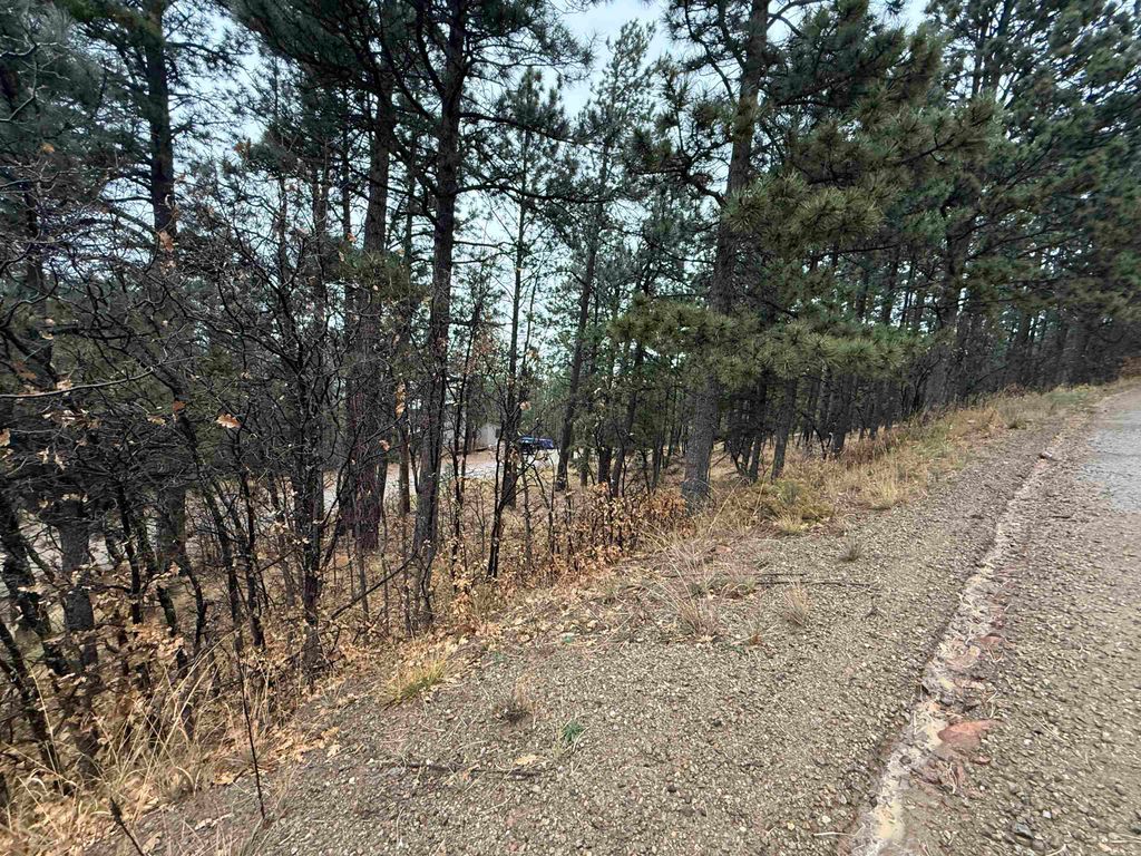 Photo of Lot 119 Valley Rd, Angel Fire, NM 87710 (MLS # 114252)