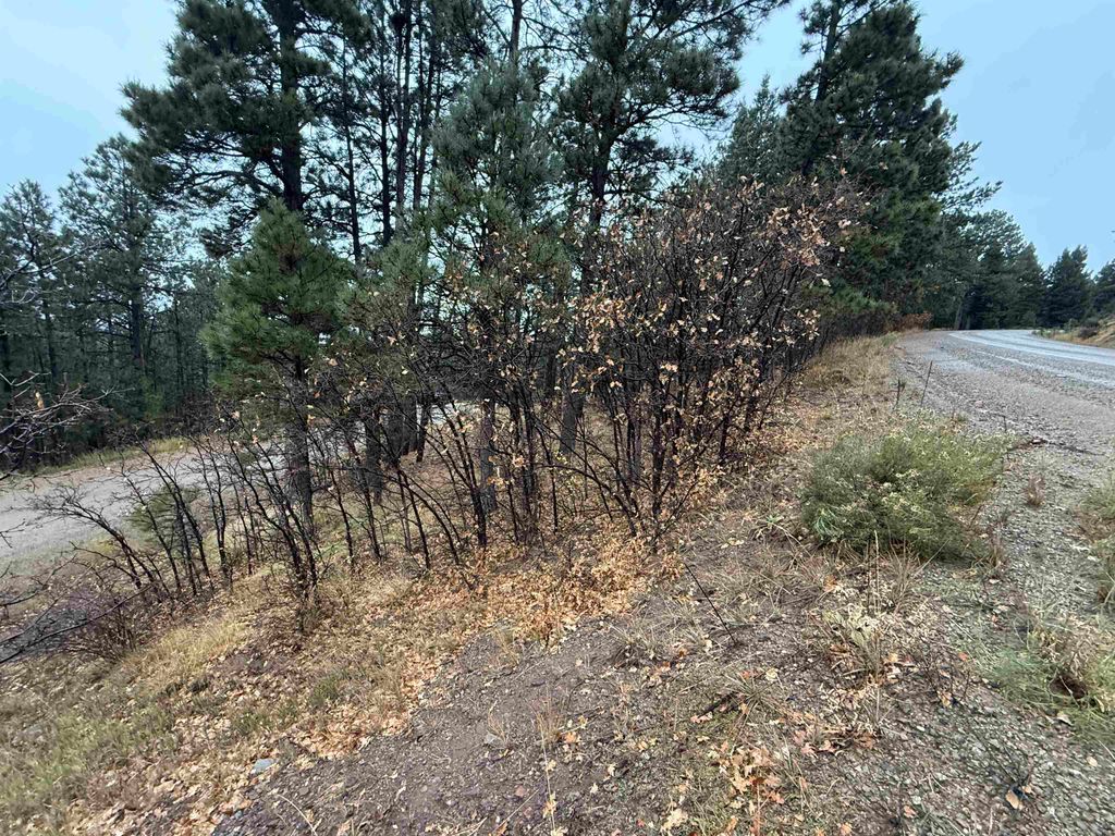 Photo of Lot 119 Valley Rd, Angel Fire, NM 87710 (MLS # 114252)