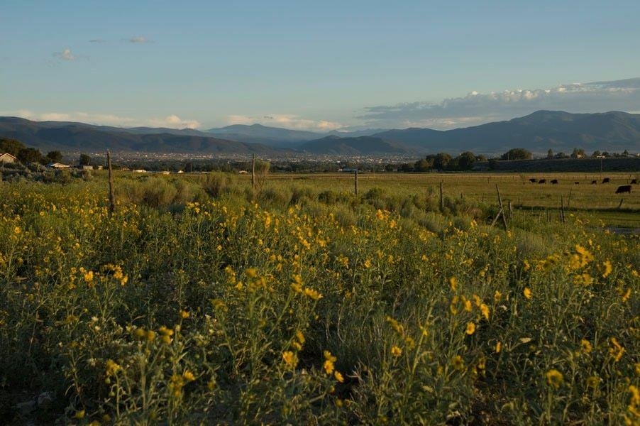 1220 Don Bernabe Garcia Ln, Taos, New Mexico image 5