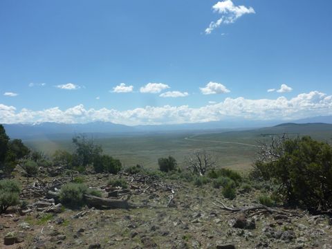 Vacant Land For Sale - 23205 Us 64<br/> Taos, NM 87577