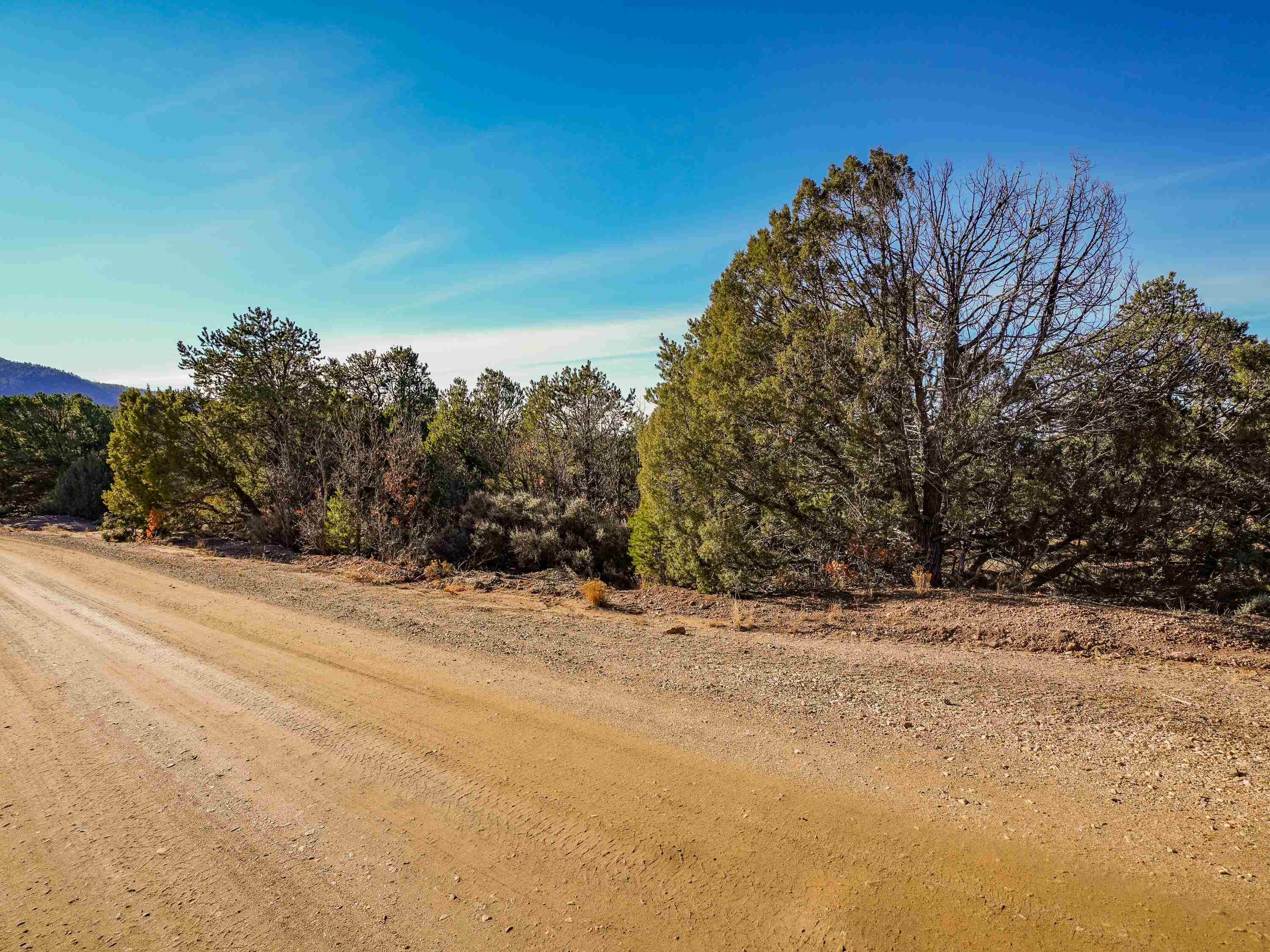 Ranchos De Taos, New Mexico 87557, United States, ,Land,Active,249328
