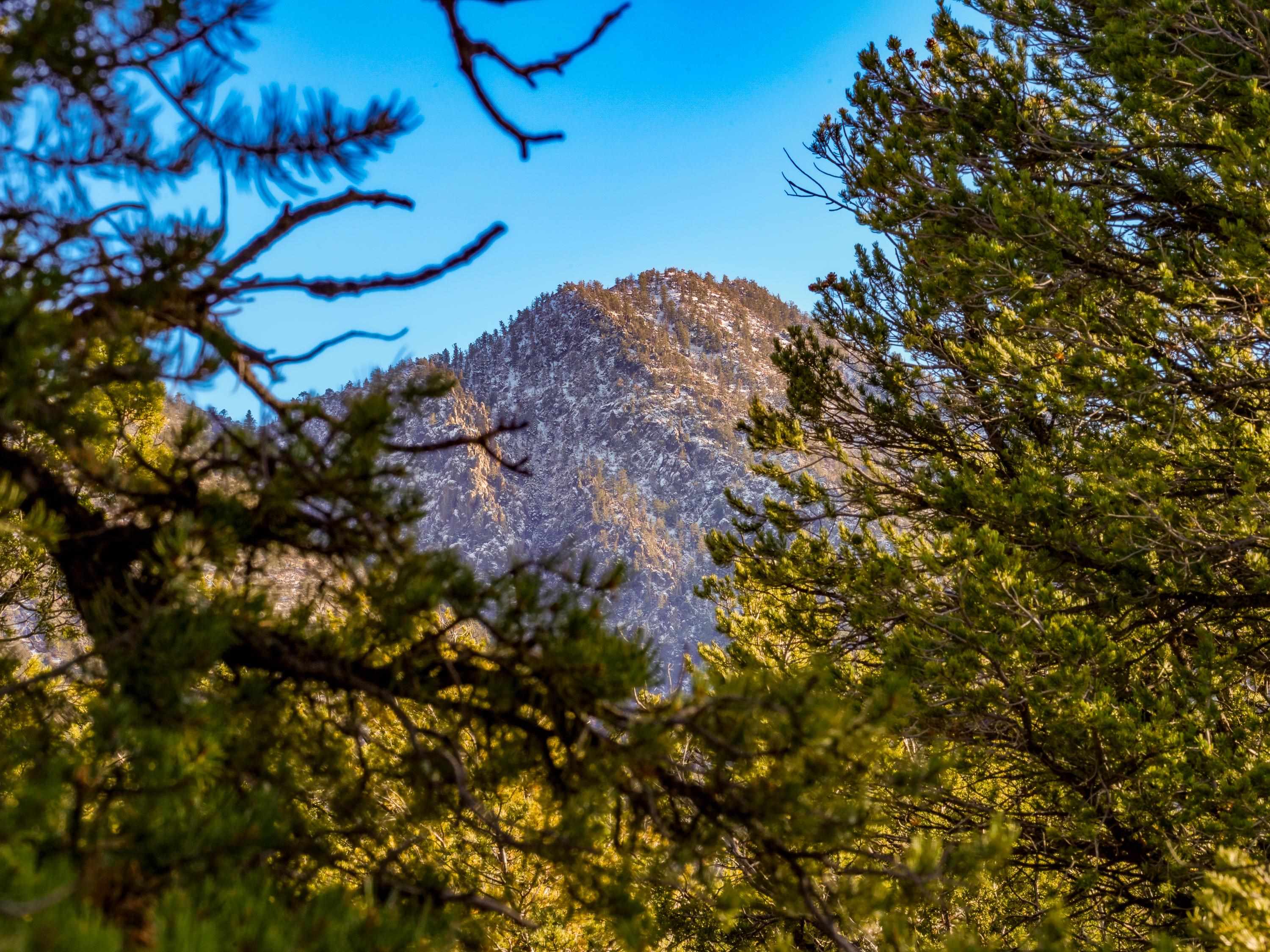 Ranchos De Taos, New Mexico 87557, United States, ,Land,Active,249328