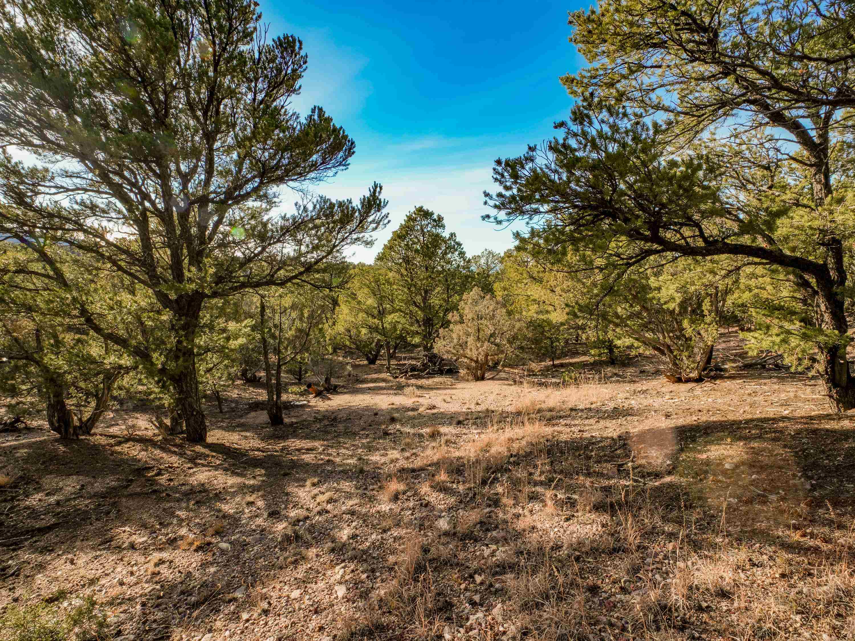 Ranchos De Taos, New Mexico 87557, United States, ,Land,Active,249328