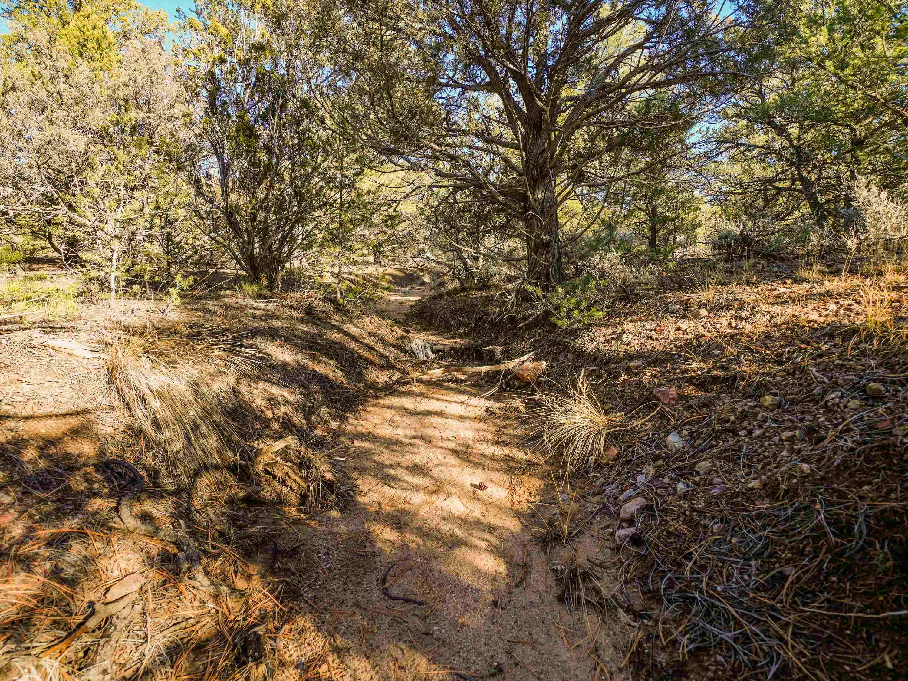 Ranchos De Taos, New Mexico 87557, United States, ,Land,Active,249328