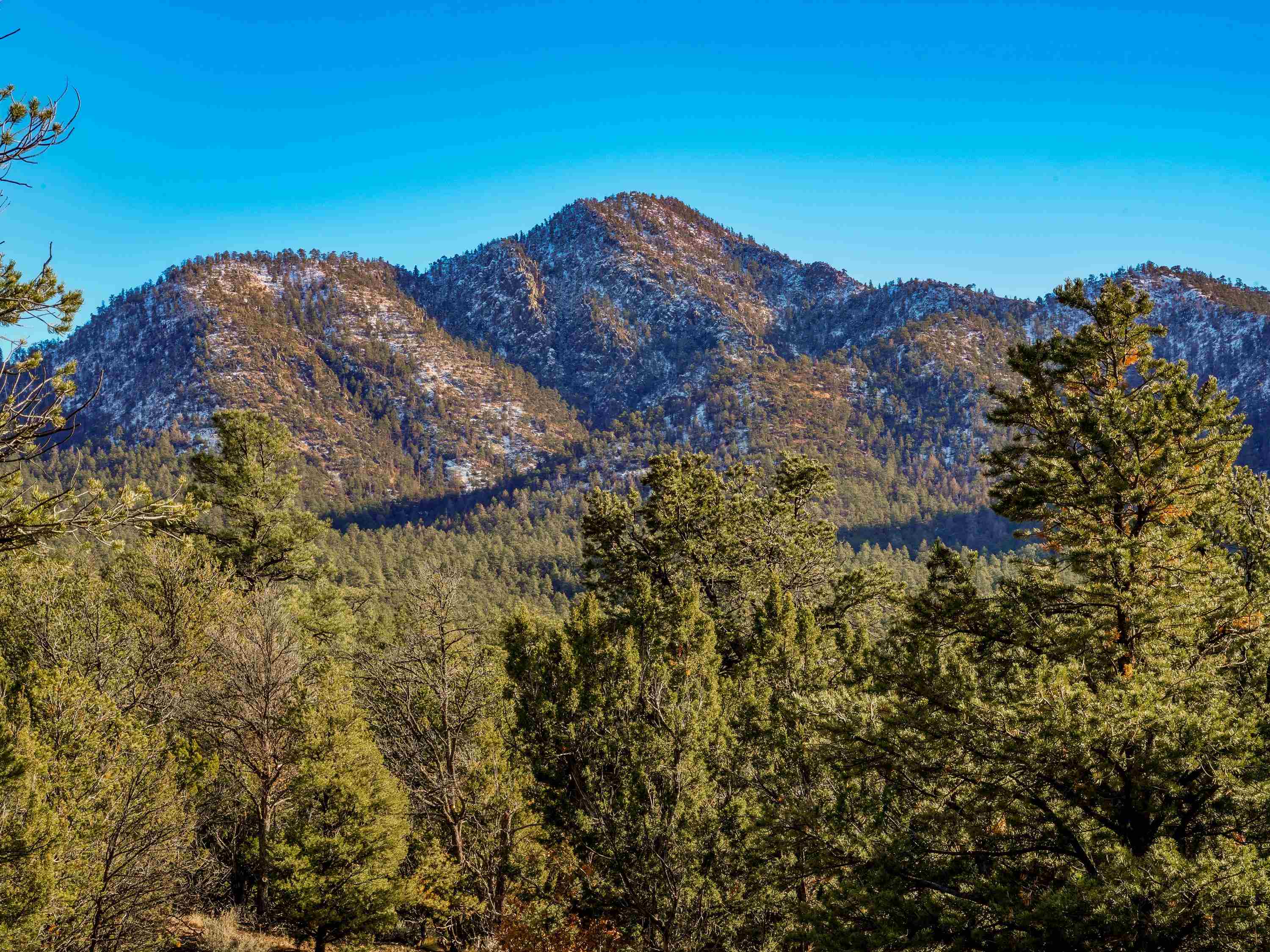 Ranchos De Taos, New Mexico 87557, United States, ,Land,Active,249328