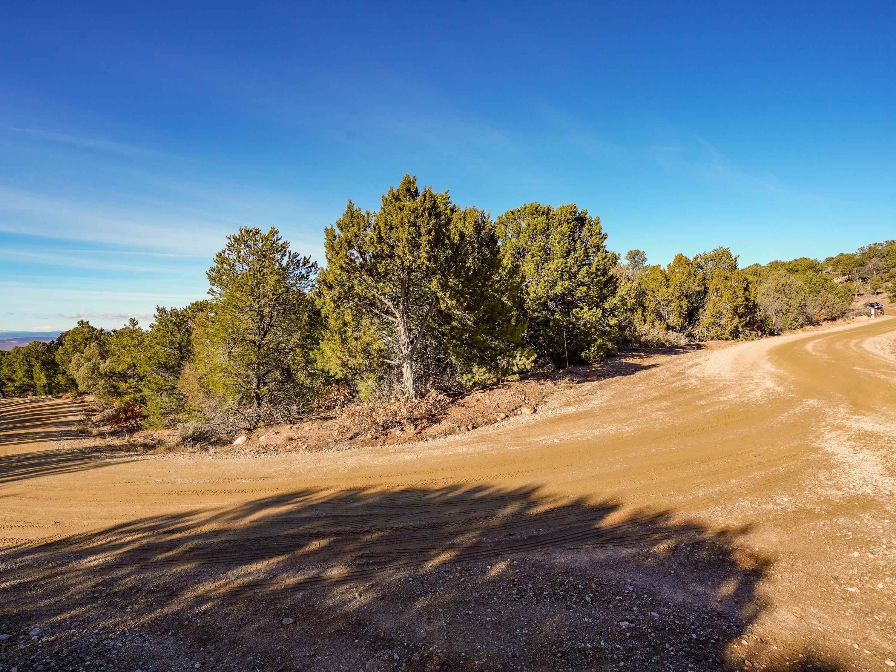 Ranchos De Taos, New Mexico 87557, United States, ,Land,Active,249328