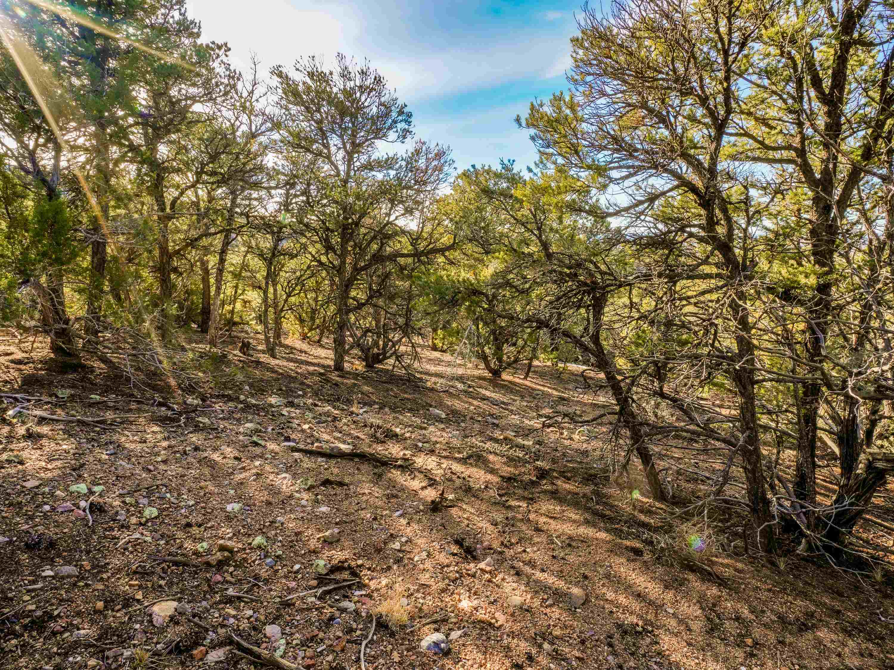 Ranchos De Taos, New Mexico 87557, United States, ,Land,Active,249328