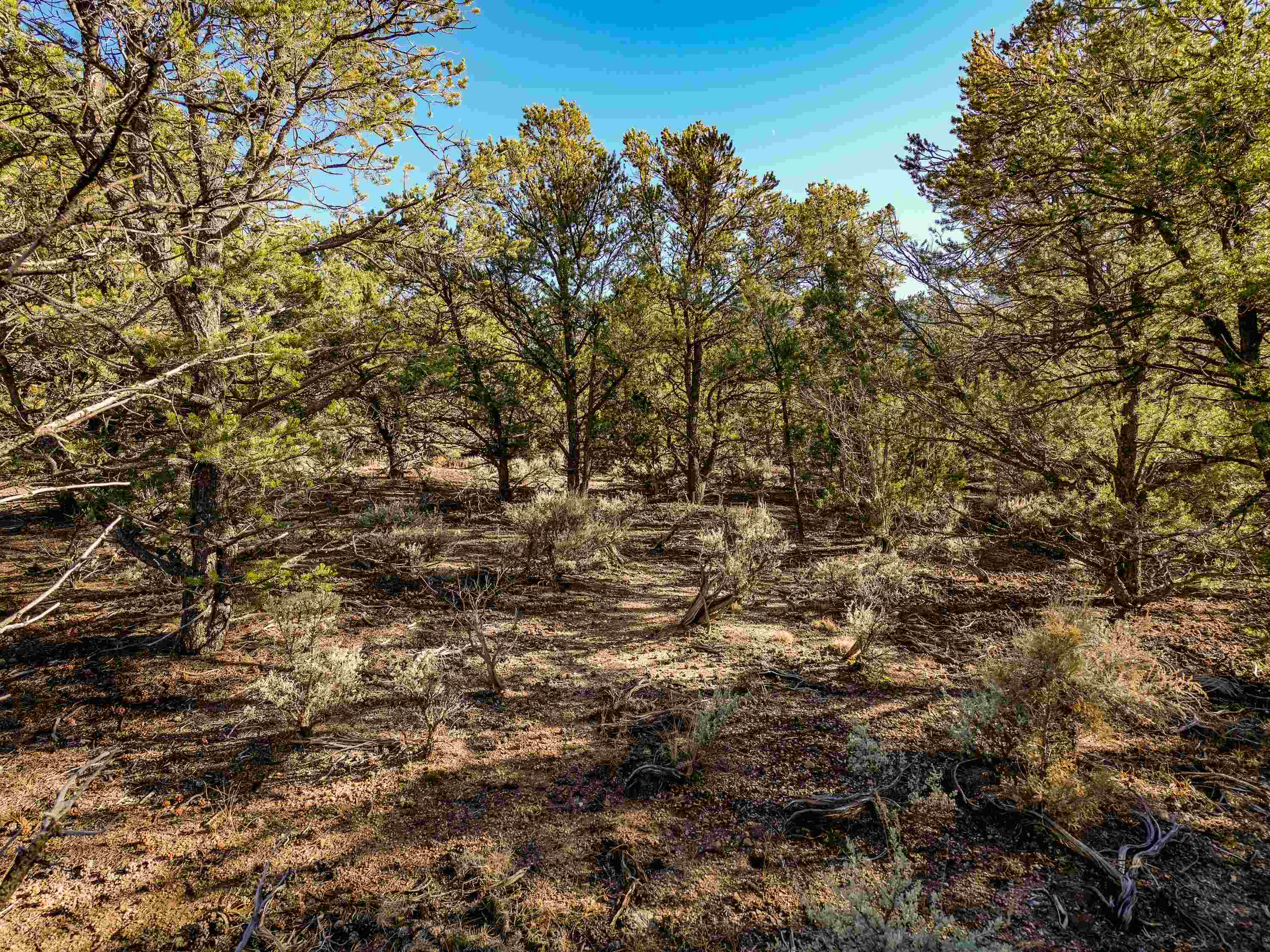 Ranchos De Taos, New Mexico 87557, United States, ,Land,Active,249328