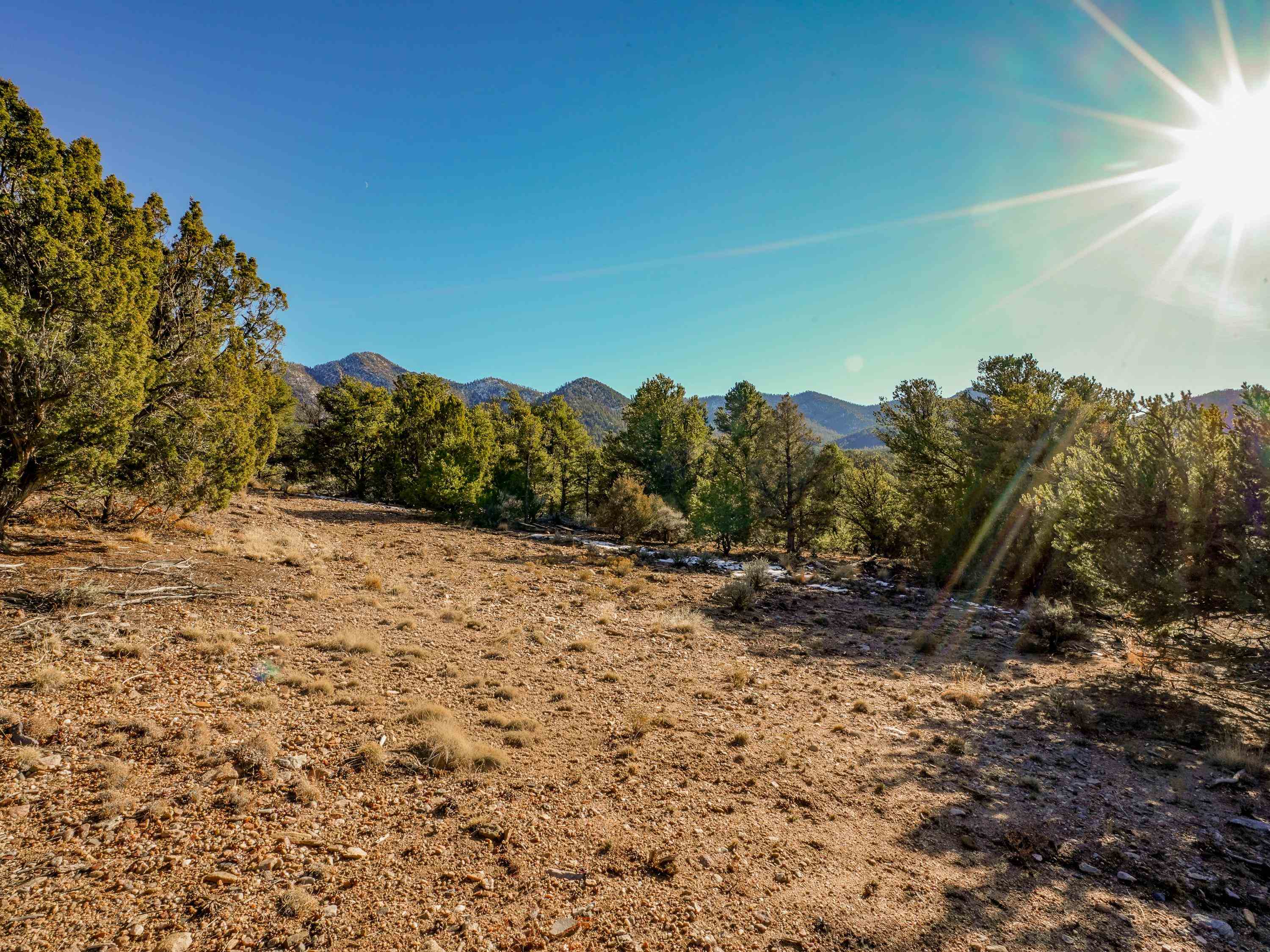 Ranchos De Taos, New Mexico 87557, United States, ,Land,Active,249328