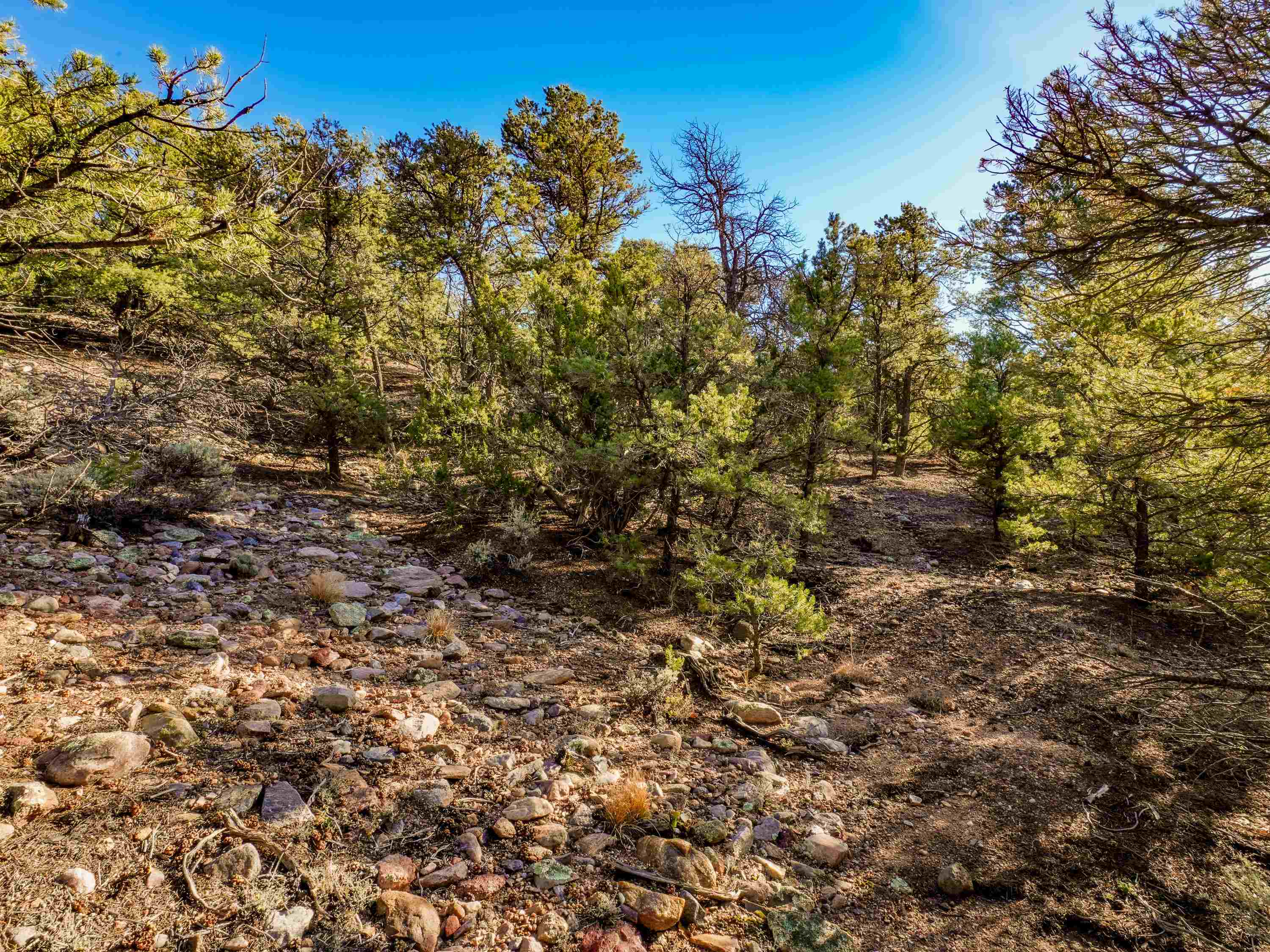 Ranchos De Taos, New Mexico 87557, United States, ,Land,Active,249328