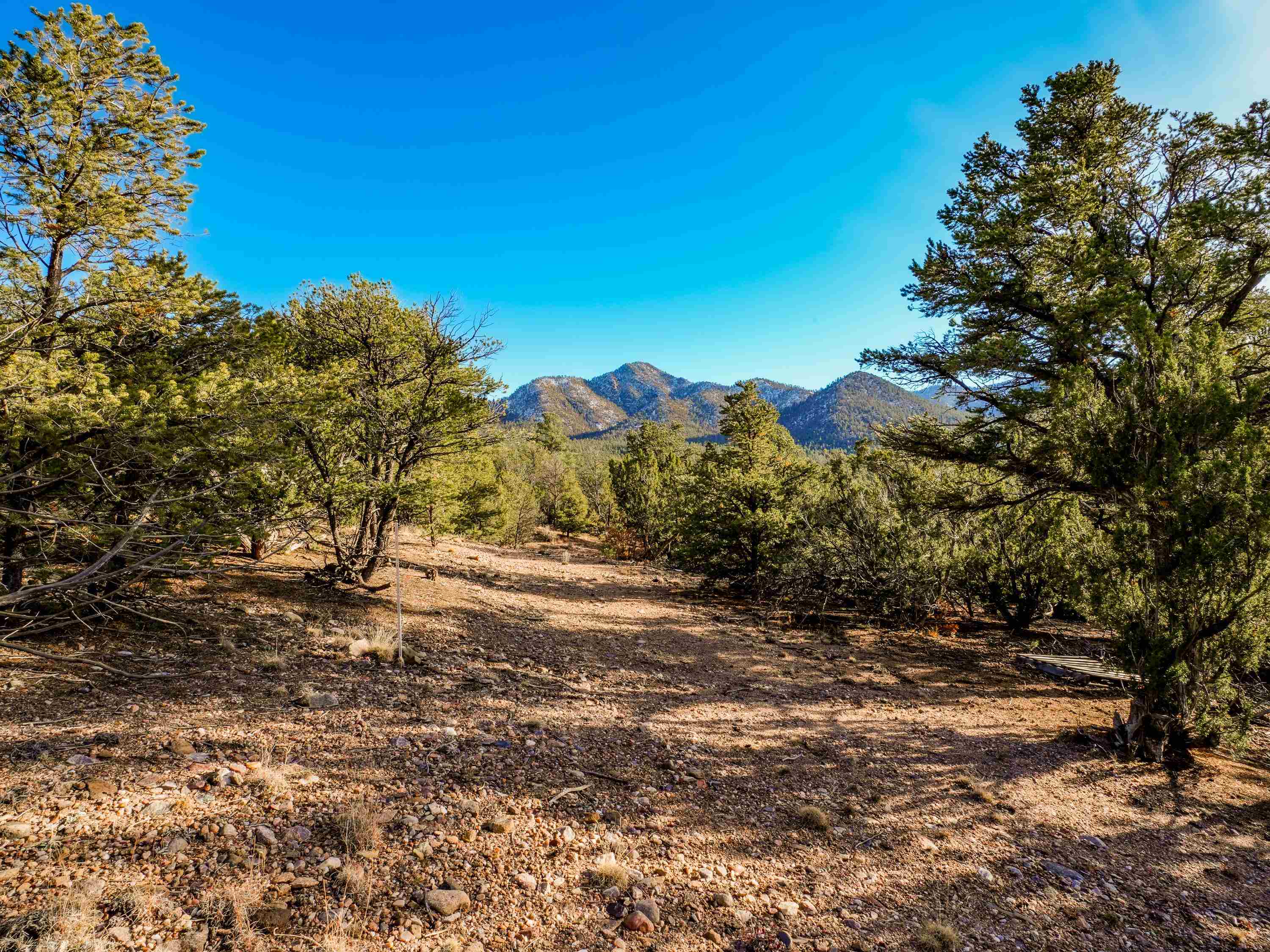 Ranchos De Taos, New Mexico 87557, United States, ,Land,Active,249328