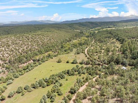Condo For Sale - Lower Ojito Road 17 Acres<br/> Chamisal, NM 87521