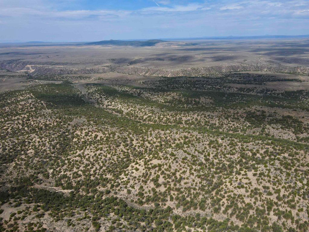 Photo of Tract 5 Trementina Trail, Arroyo Hondo, NM 87513 (MLS # 113846)