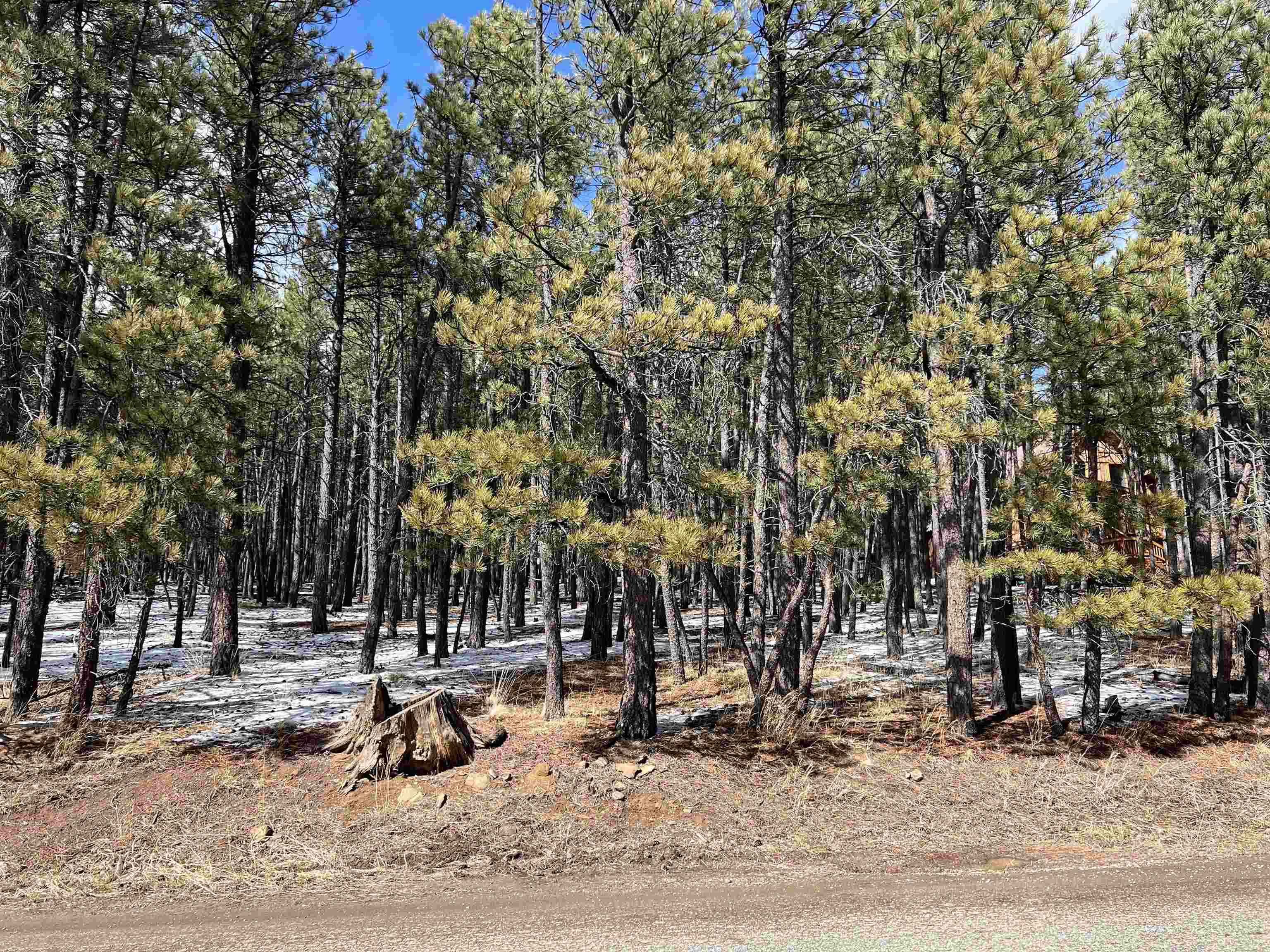 Lot 563 Lakeview Park Drive, Angel Fire, New Mexico image 6