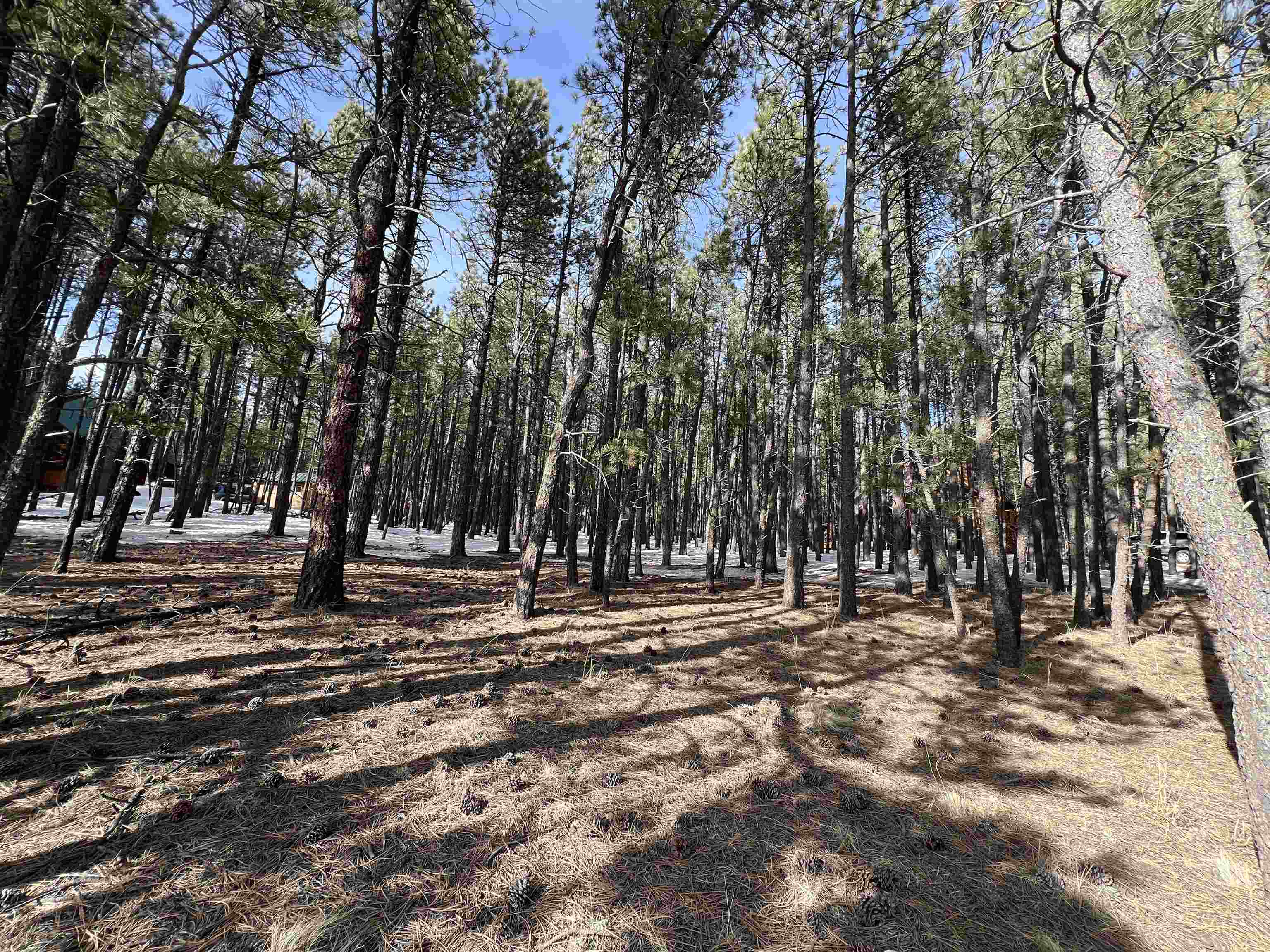 Lot 563 Lakeview Park Drive, Angel Fire, New Mexico image 5