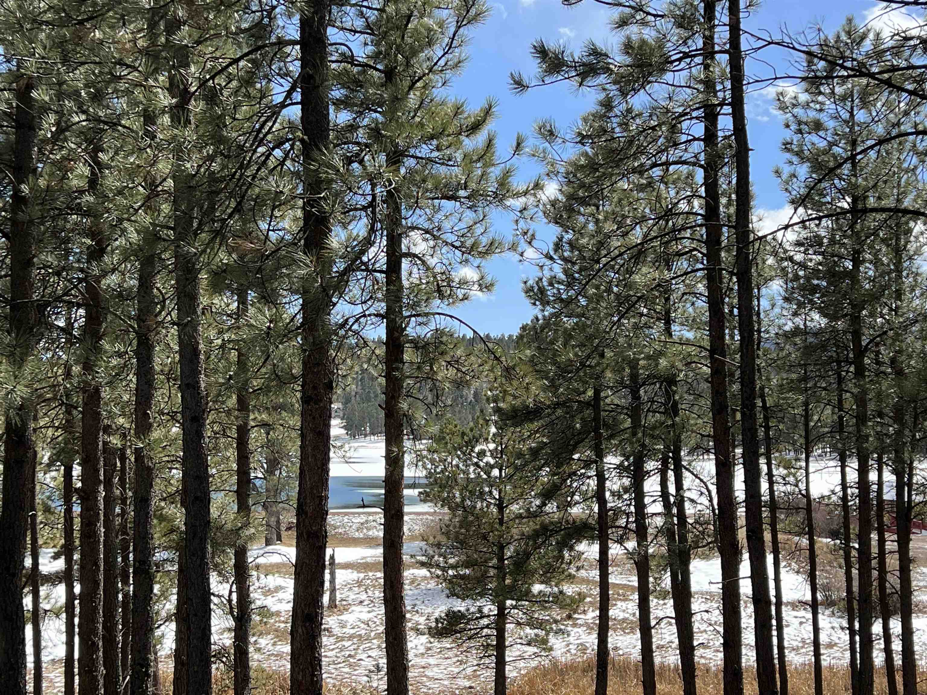 Lot 563 Lakeview Park Drive, Angel Fire, New Mexico image 2