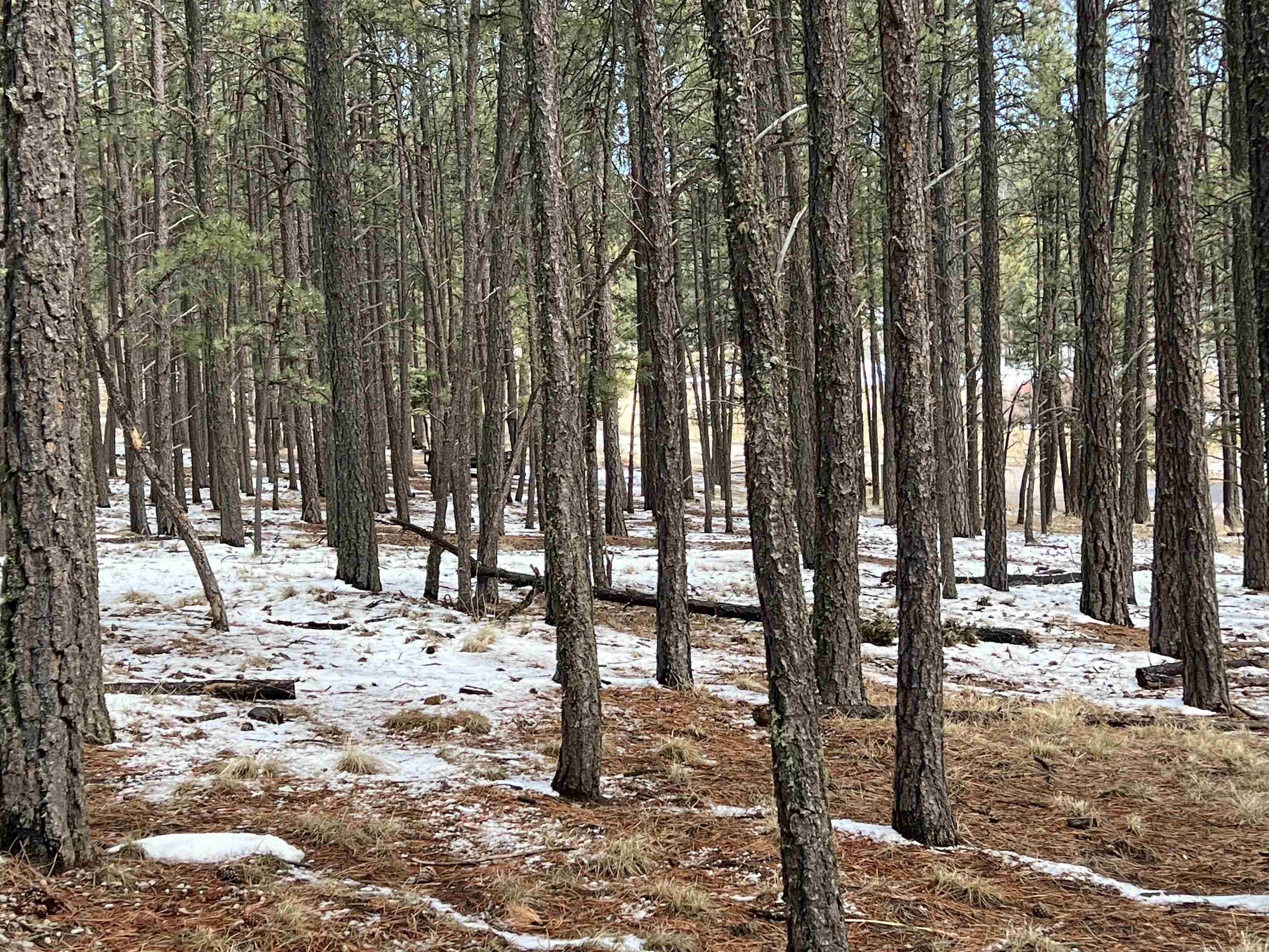 Lot 563 Lakeview Park Drive, Angel Fire, New Mexico image 7
