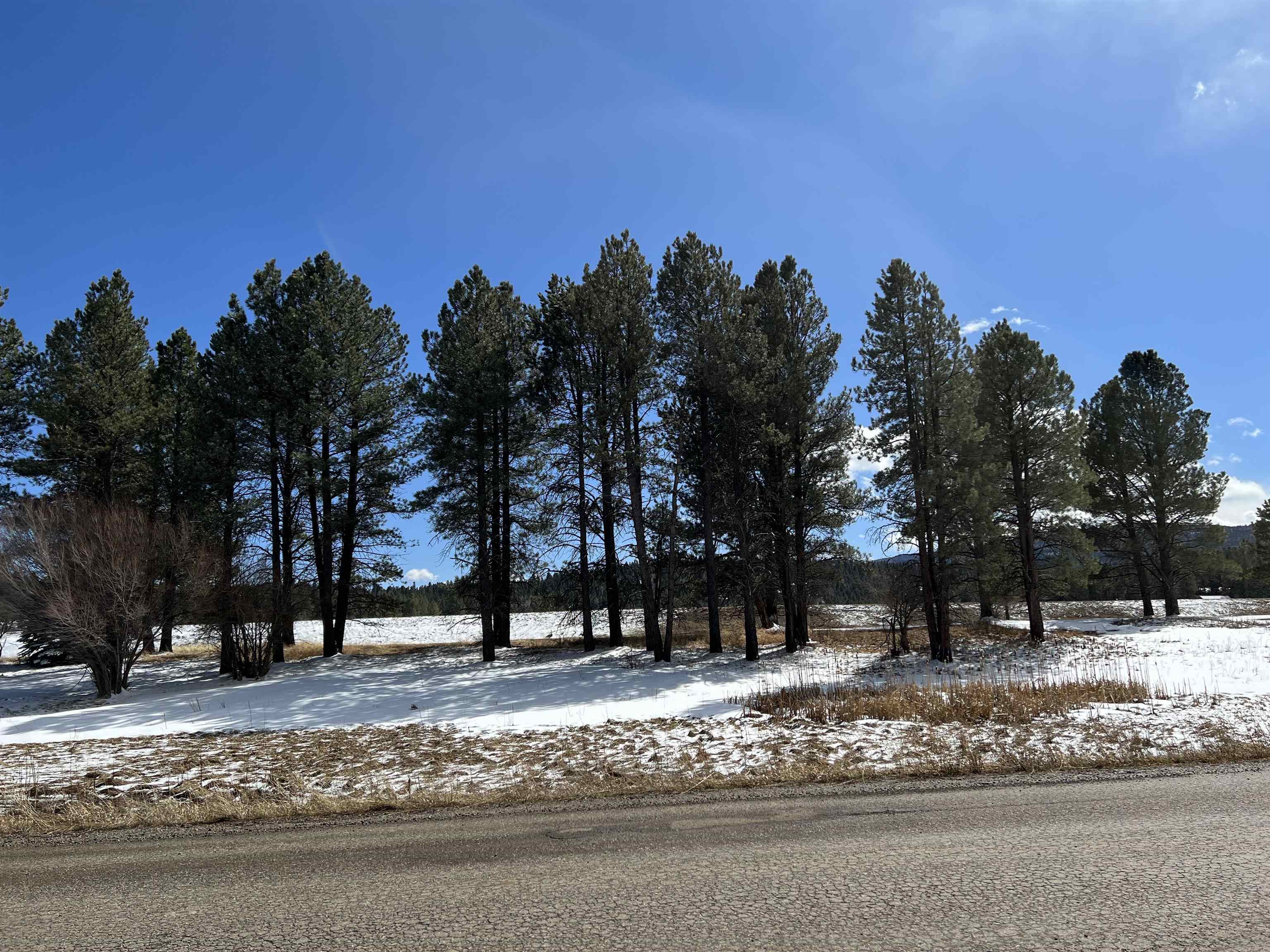 Lot 563 Lakeview Park Drive, Angel Fire, New Mexico image 3