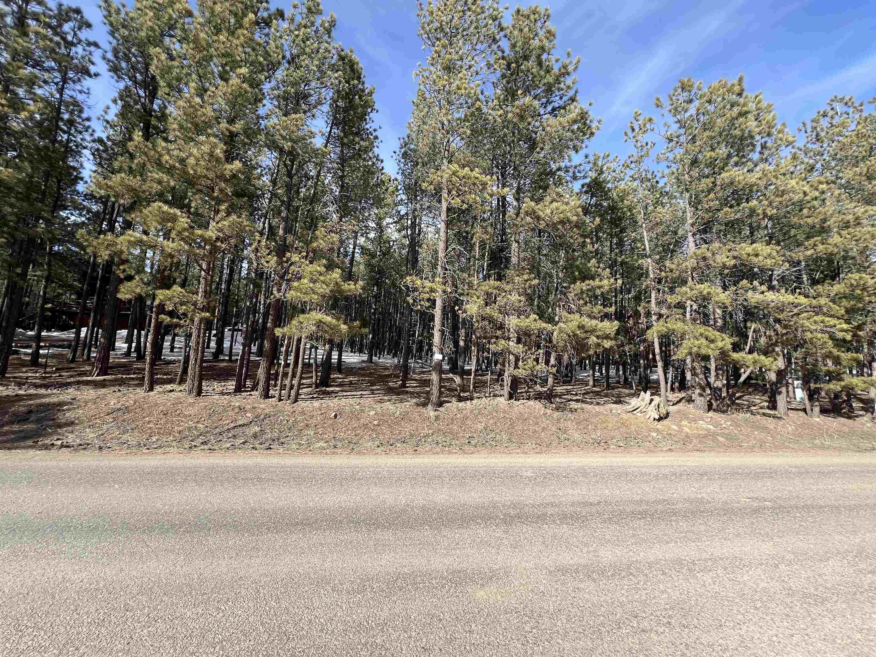 Lot 563 Lakeview Park Drive, Angel Fire, New Mexico image 1