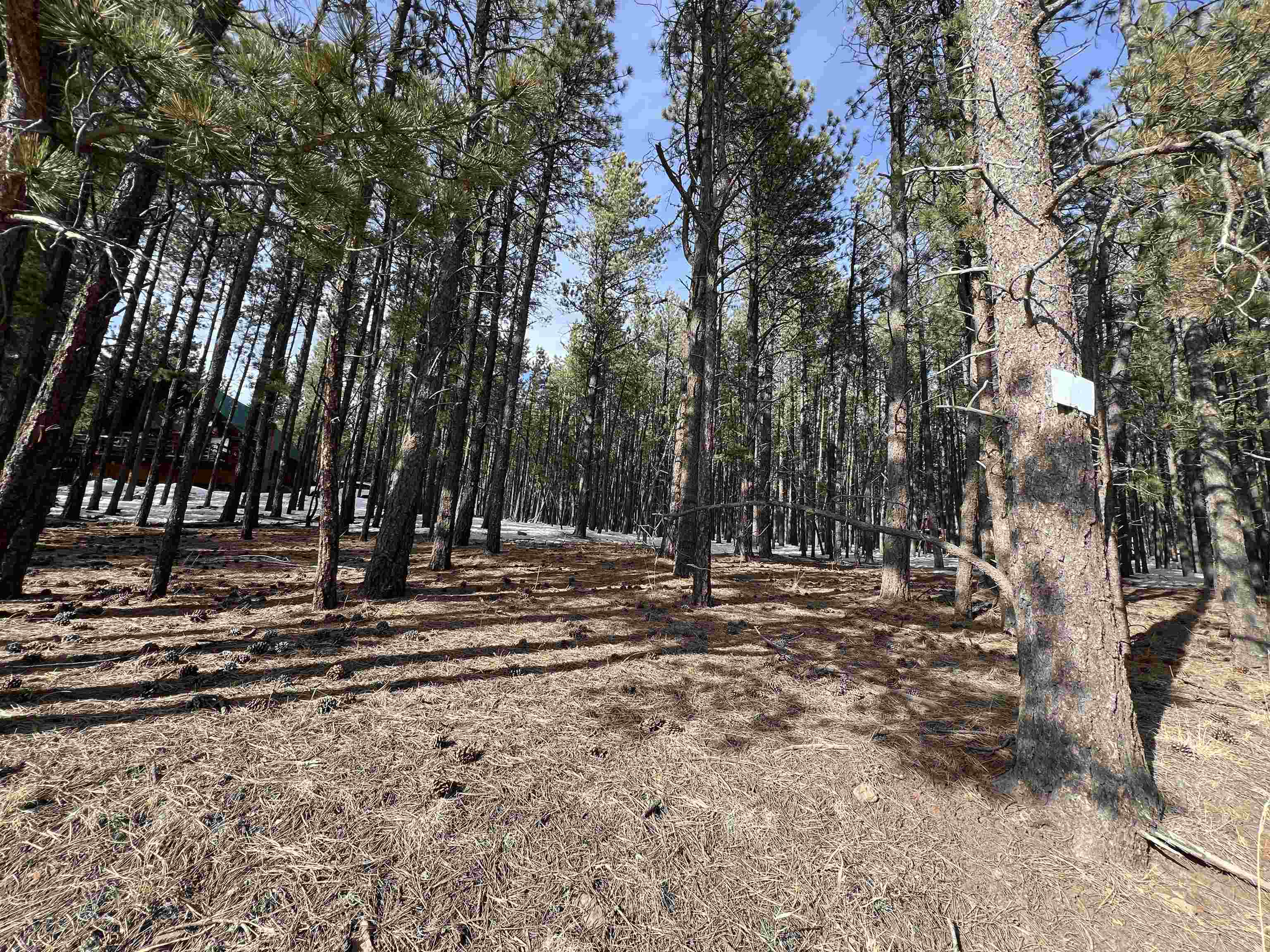 Lot 563 Lakeview Park Drive, Angel Fire, New Mexico image 4