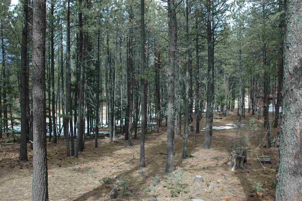 Photo of 610 via del rey, Angel Fire, NM 87710 (MLS # 104930)