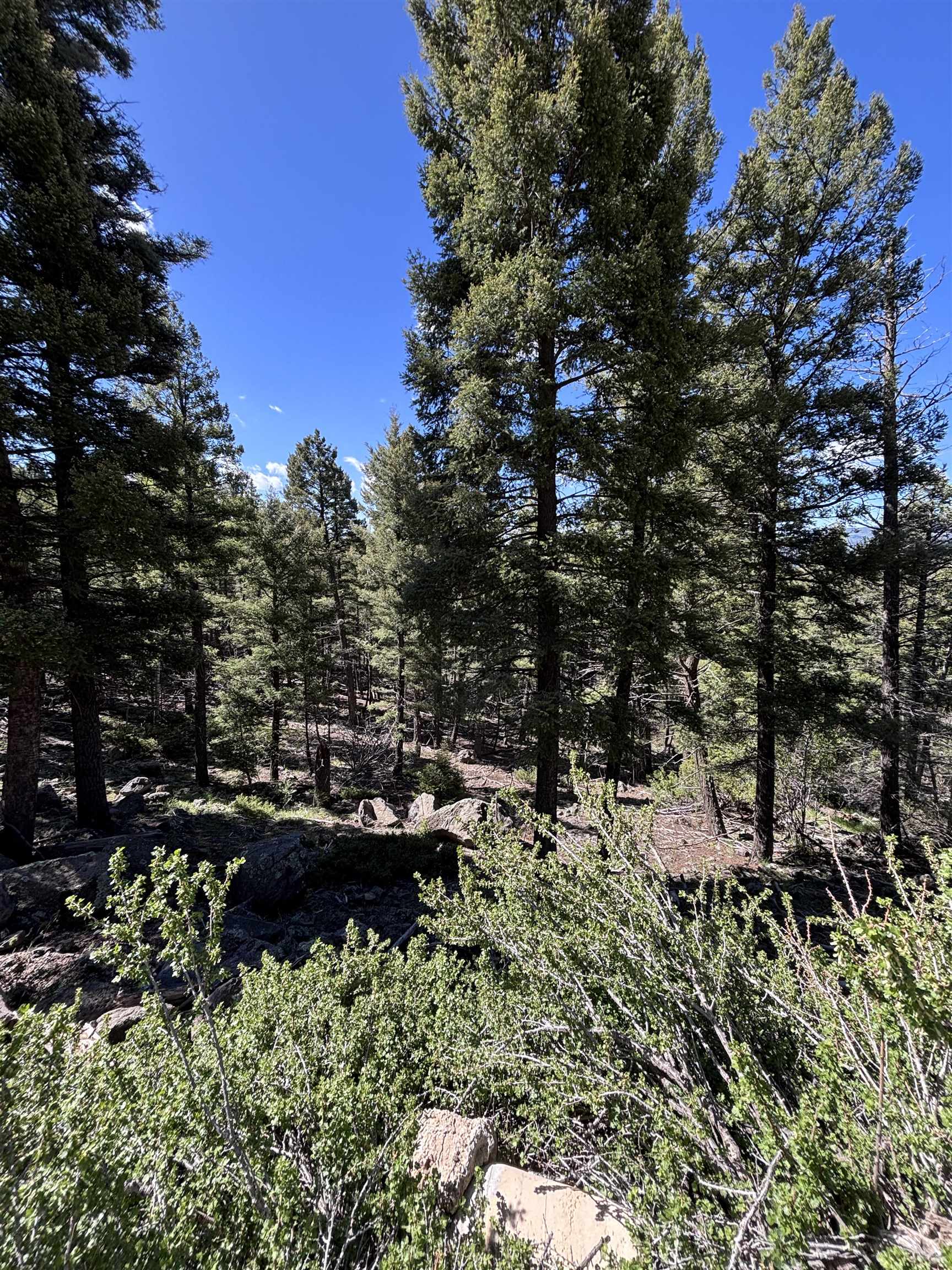Lot 1145 Panorama Way #18, Angel Fire, Texas image 3